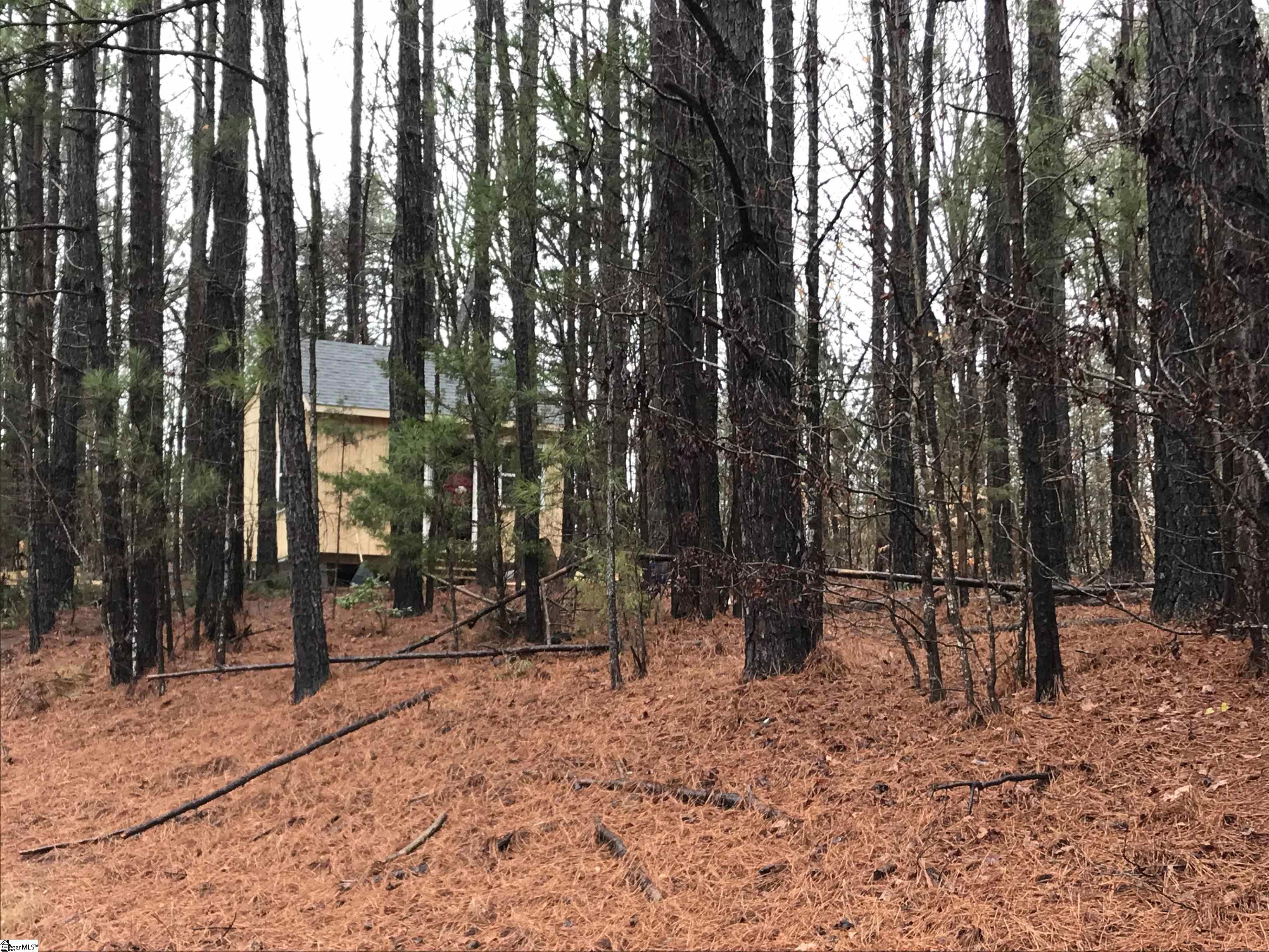638 Tom Young Bridge Road Iva, SC 29655 - Photo 17 of 27