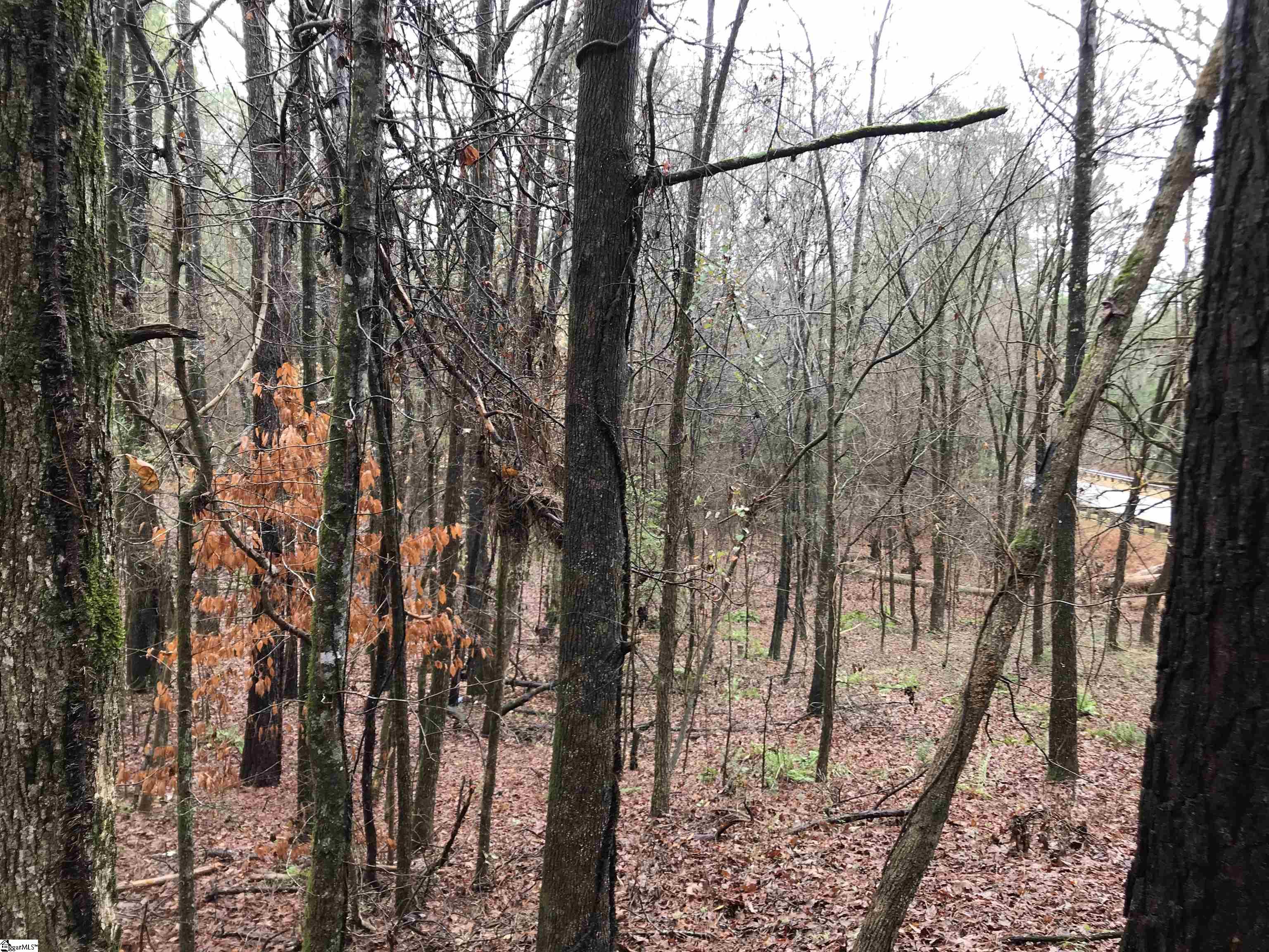 638 Tom Young Bridge Road Iva, SC 29655 - Photo 2 of 27