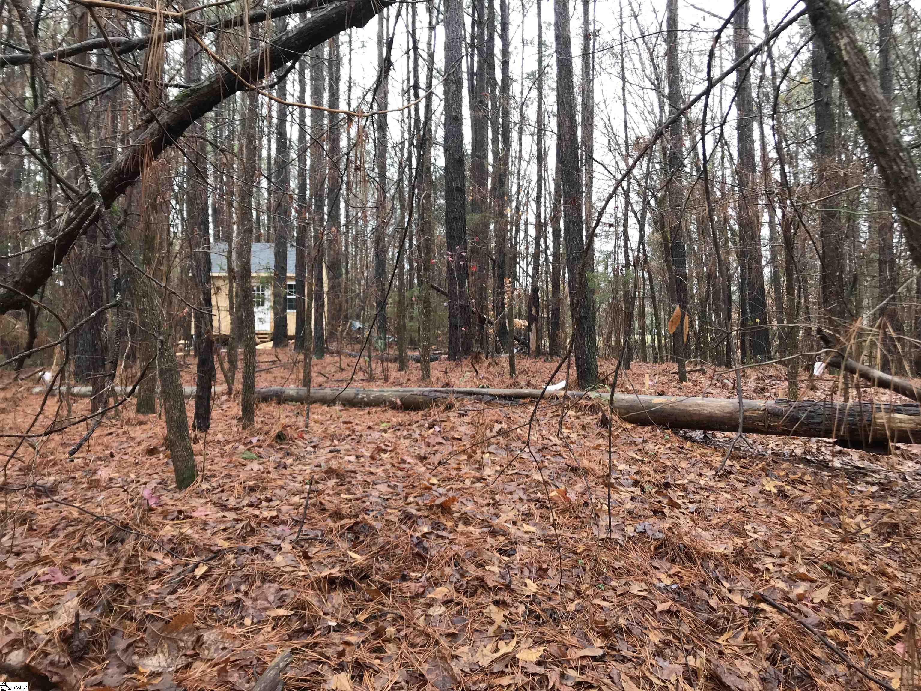 638 Tom Young Bridge Road Iva, SC 29655 - Photo 5 of 27