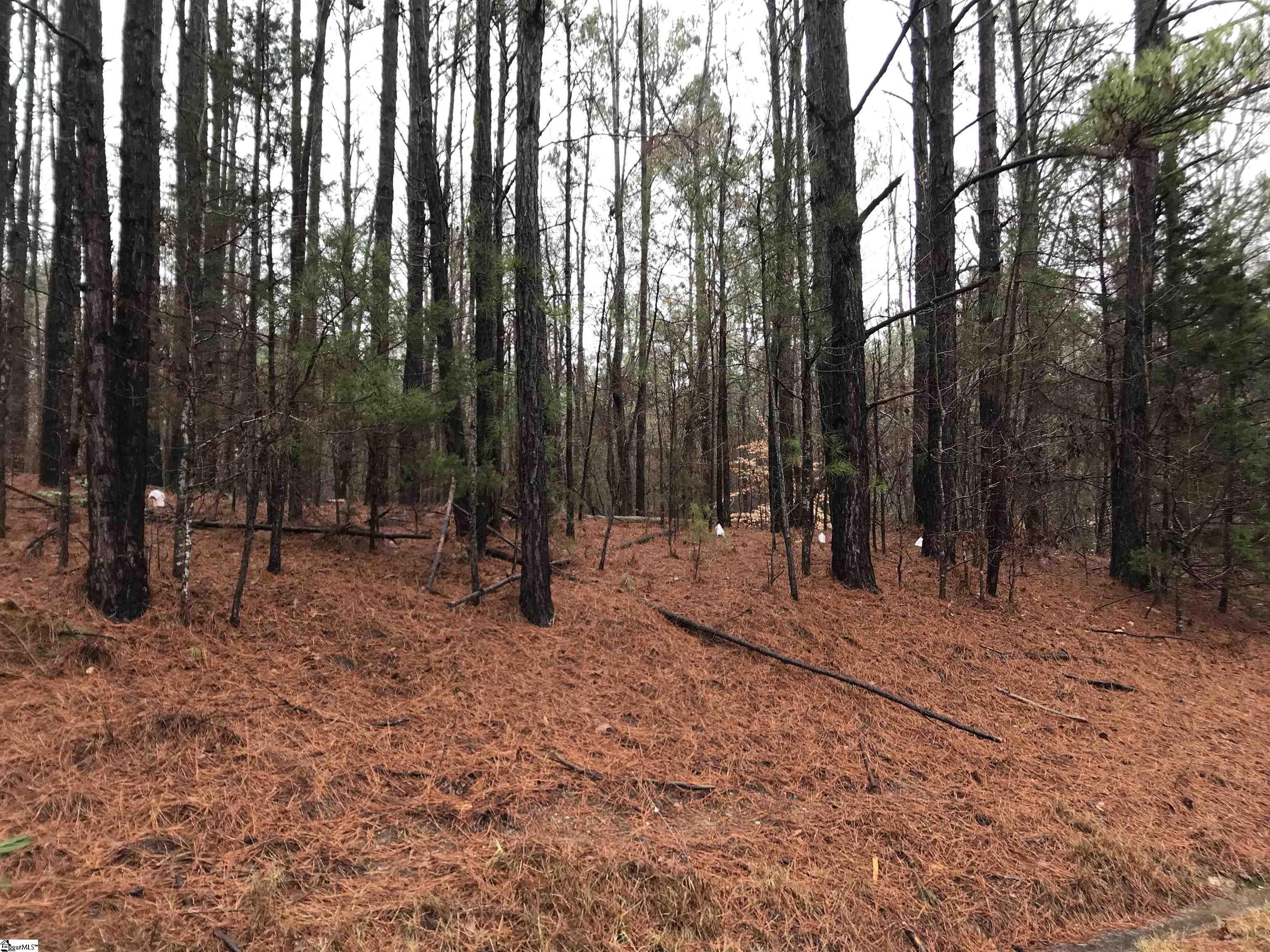 638 Tom Young Bridge Road Iva, SC 29655 - Photo 10 of 27