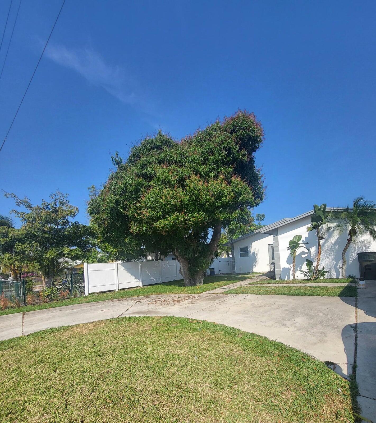 305 Northwest 4th Avenue Delray Beach, FL 33444 - Photo 22 of 45 a view of yard with swimming pool and green space