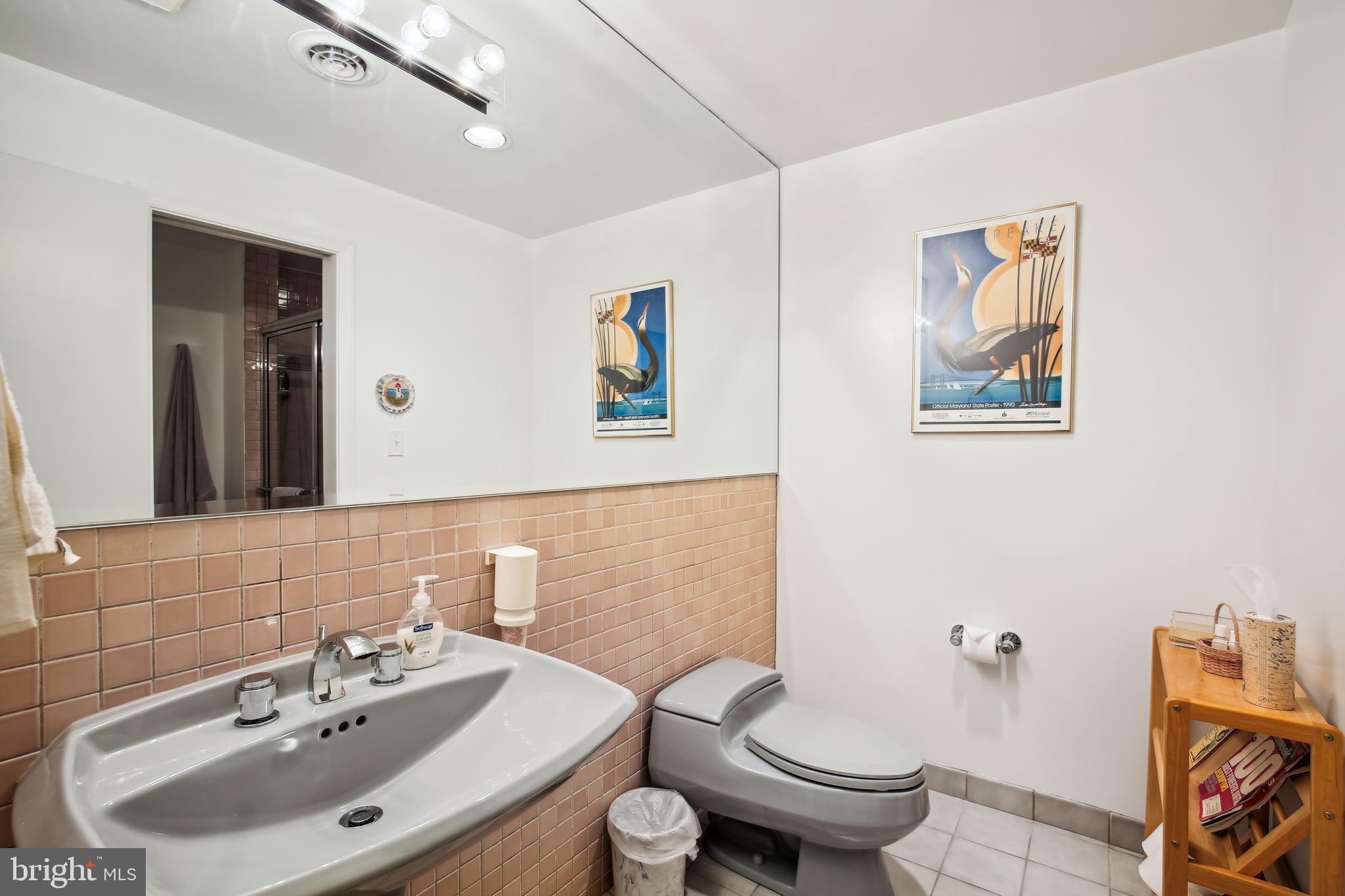 9633 Reach Road Potomac, MD 20854 - Photo 58 of 69 Lower-level full bath #2