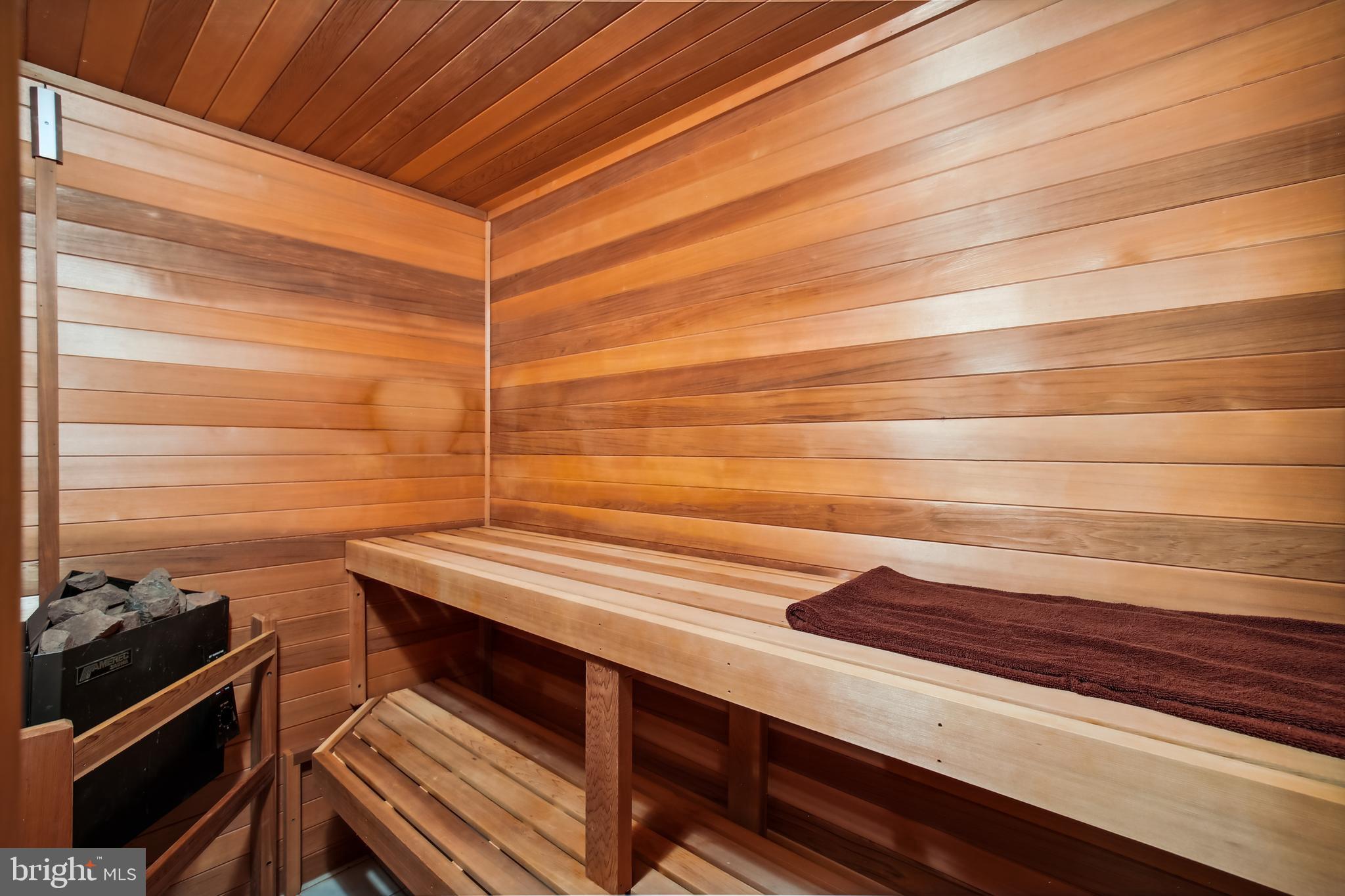 9633 Reach Road Potomac, MD 20854 - Photo 60 of 69 Sauna