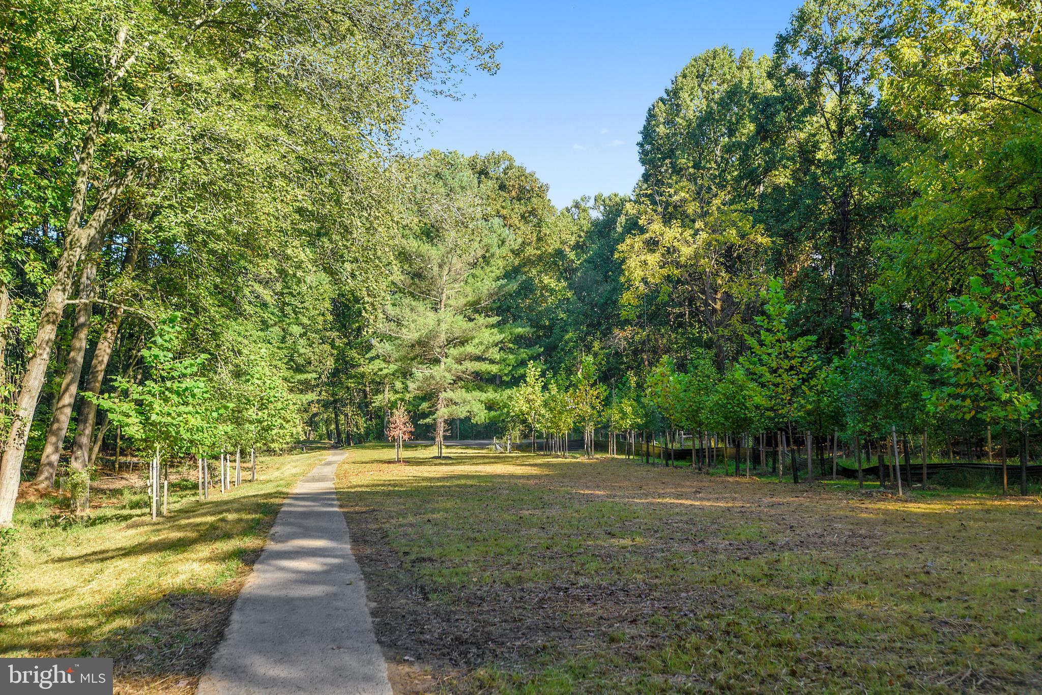 9633 Reach Road Potomac, MD 20854 - Photo 65 of 69 Walk Path