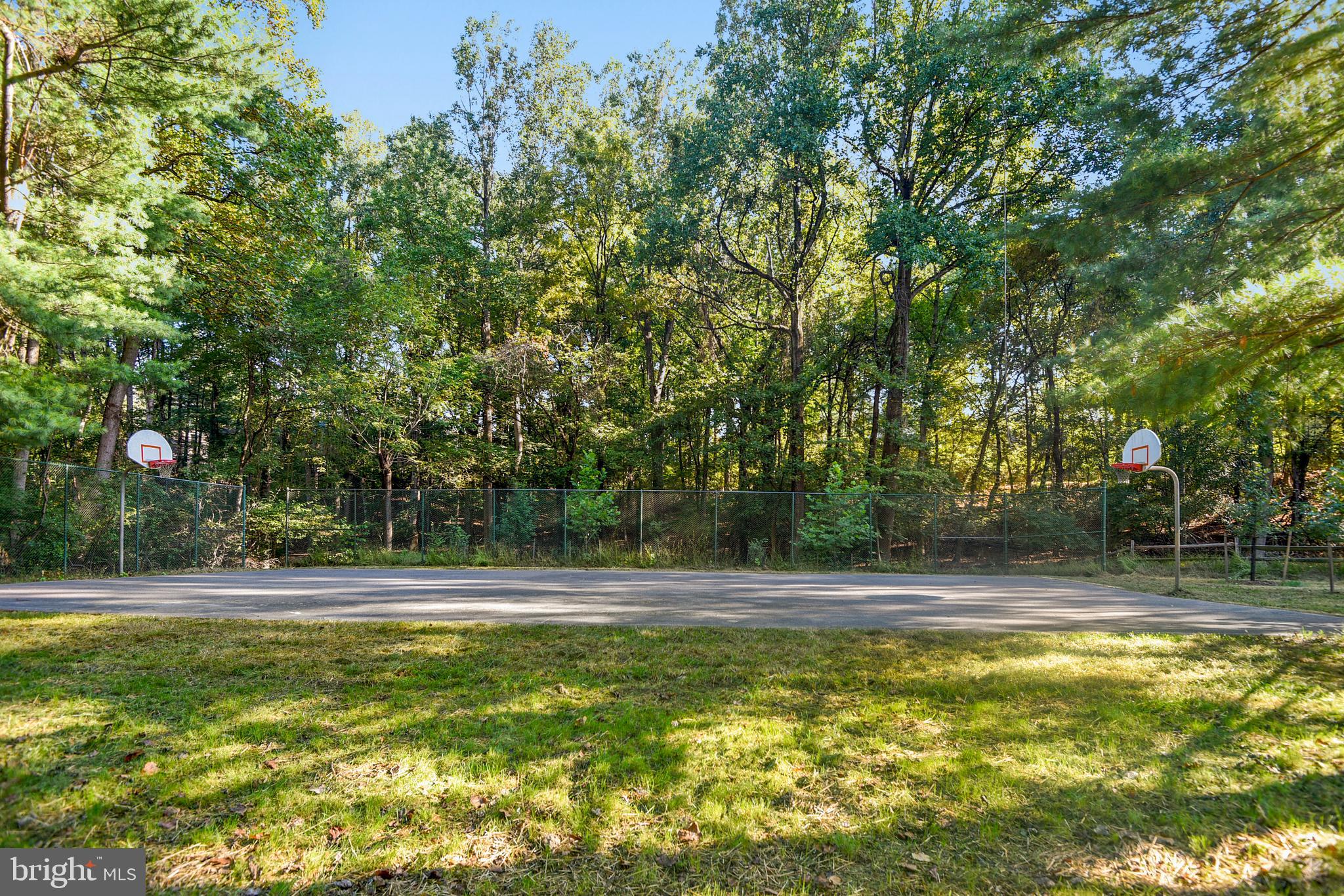 9633 Reach Road Potomac, MD 20854 - Photo 68 of 69 Basketball Court