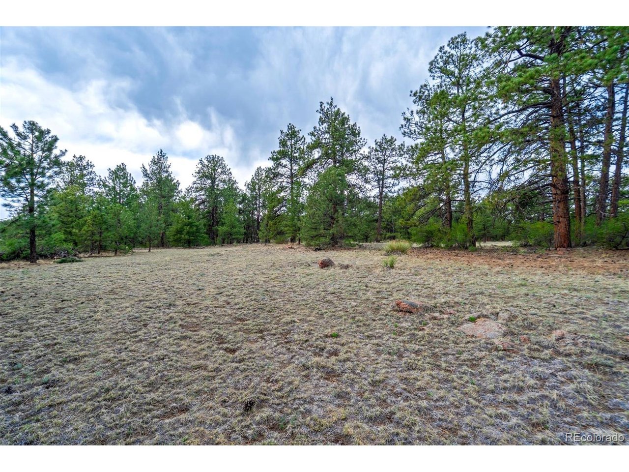 103 Doe Valley Road Guffey, CO 80820 - Photo 7 of 46
