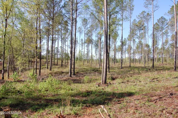 a view of backyard with green space