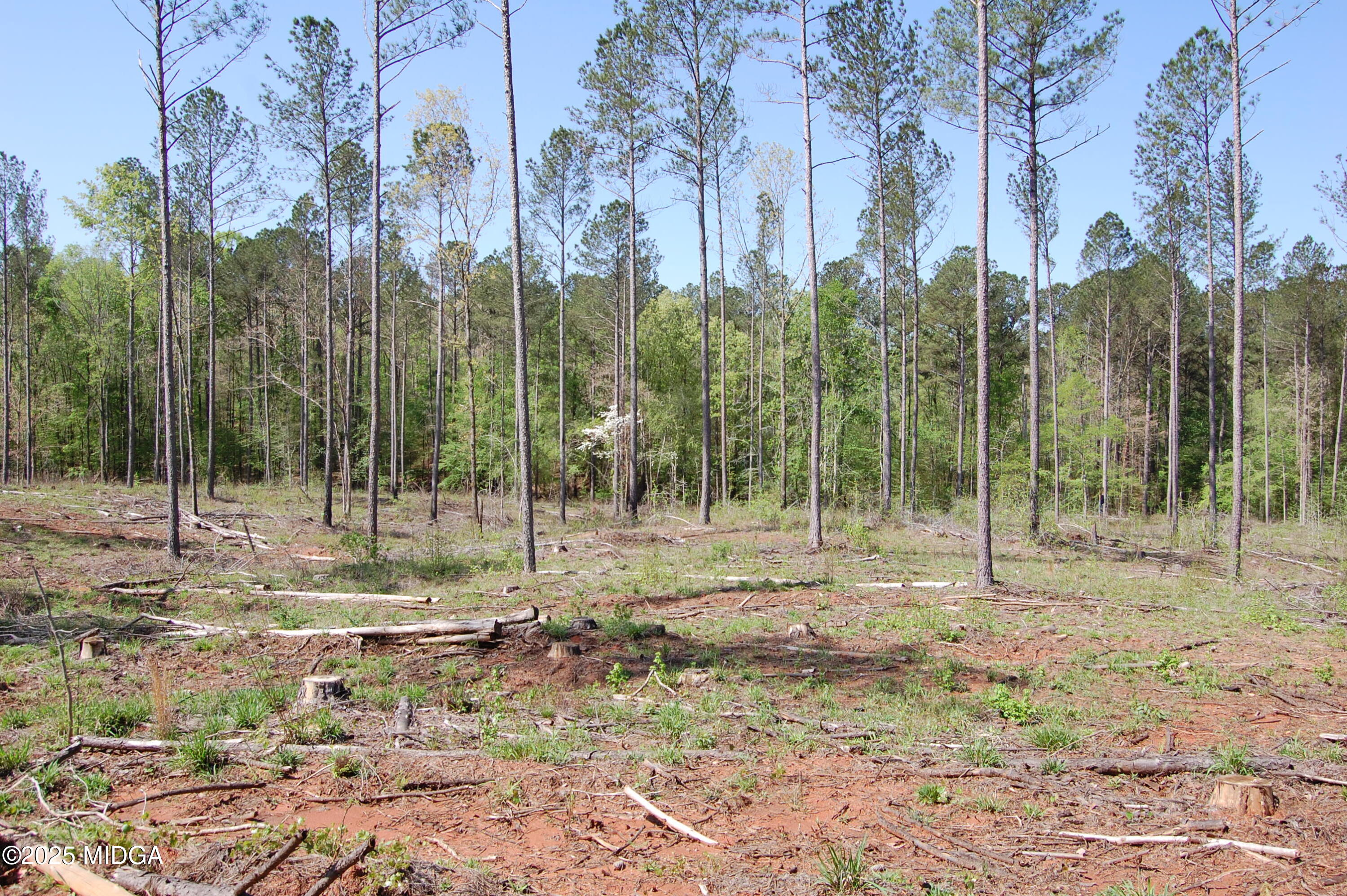 0 Watson Road Forsyth, GA 31029 - Photo 11 of 33 a view of outdoor space with trees
