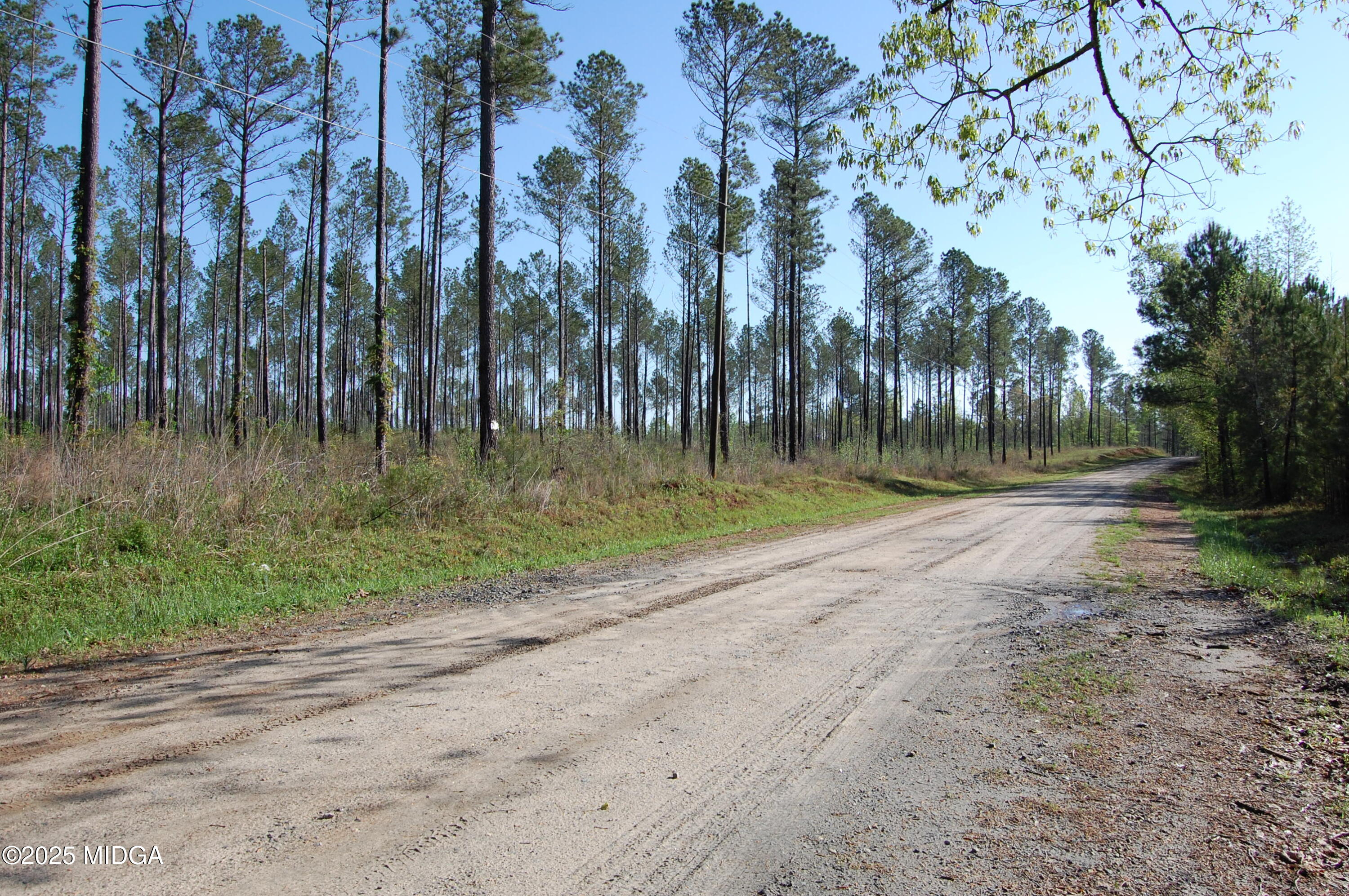 0 Watson Road Forsyth, GA 31029 - Photo 13 of 33 a backyard of a house with lots of green space