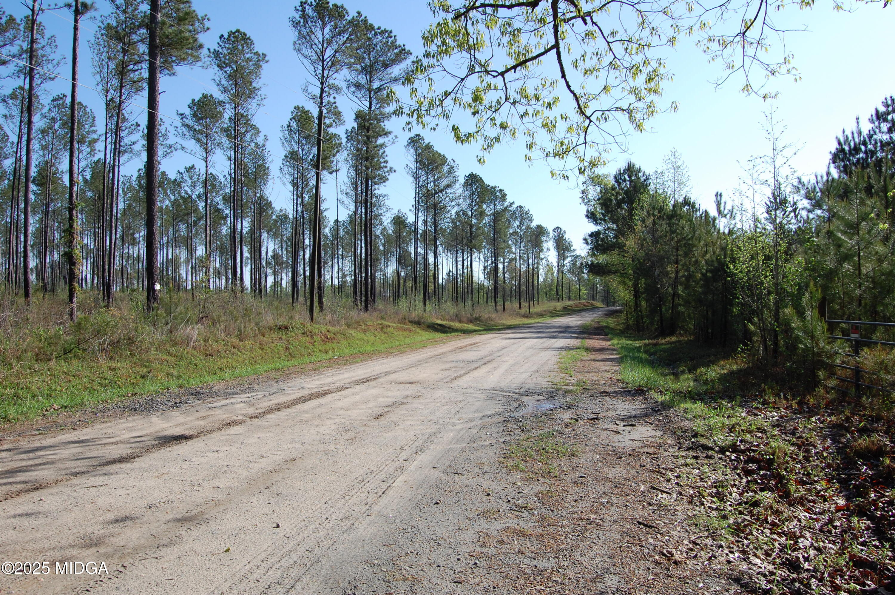 0 Watson Road Forsyth, GA 31029 - Photo 14 of 33 a view of a park