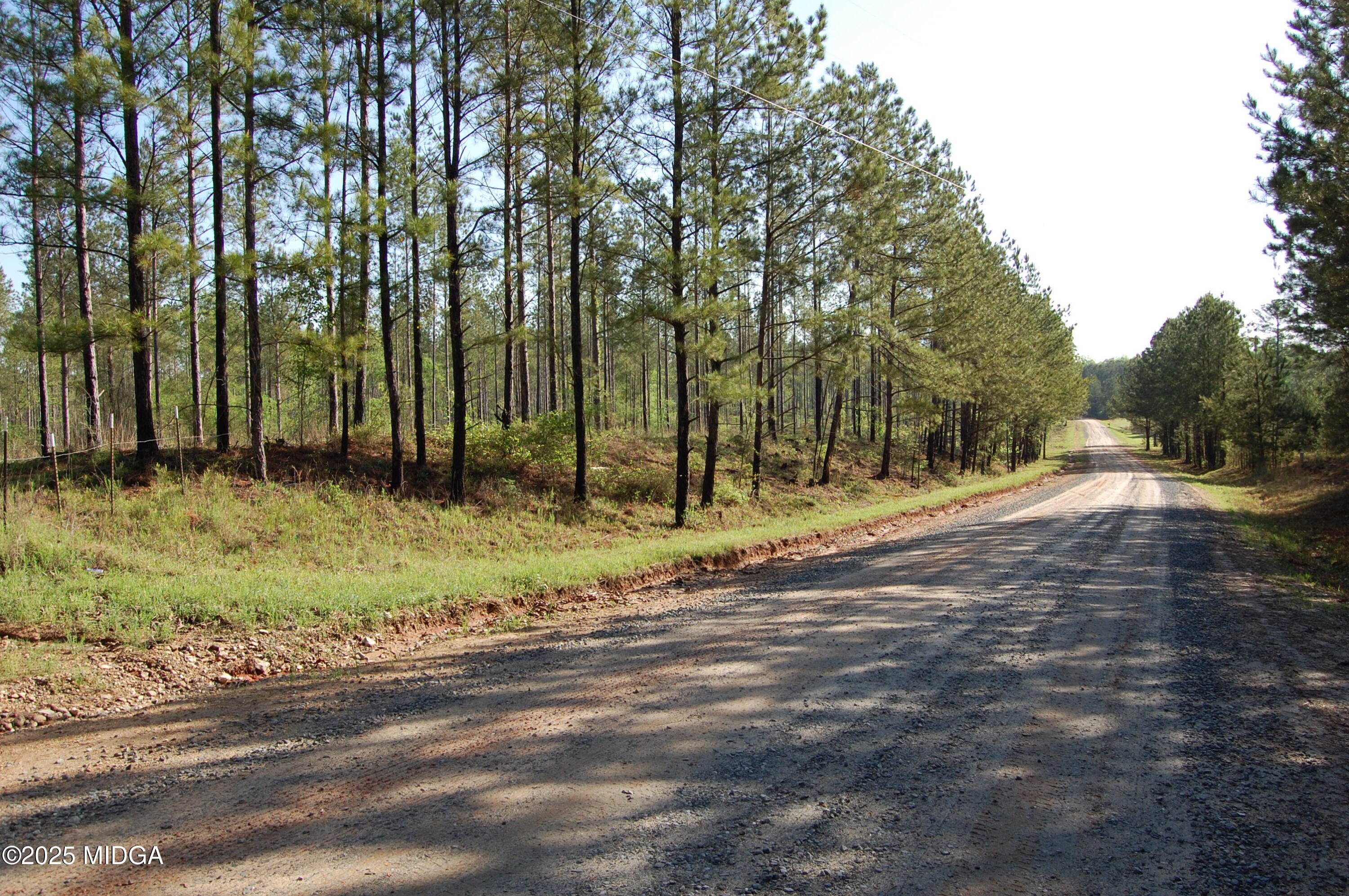 0 Watson Road Forsyth, GA 31029 - Photo 15 of 33 a view of backyard with green space