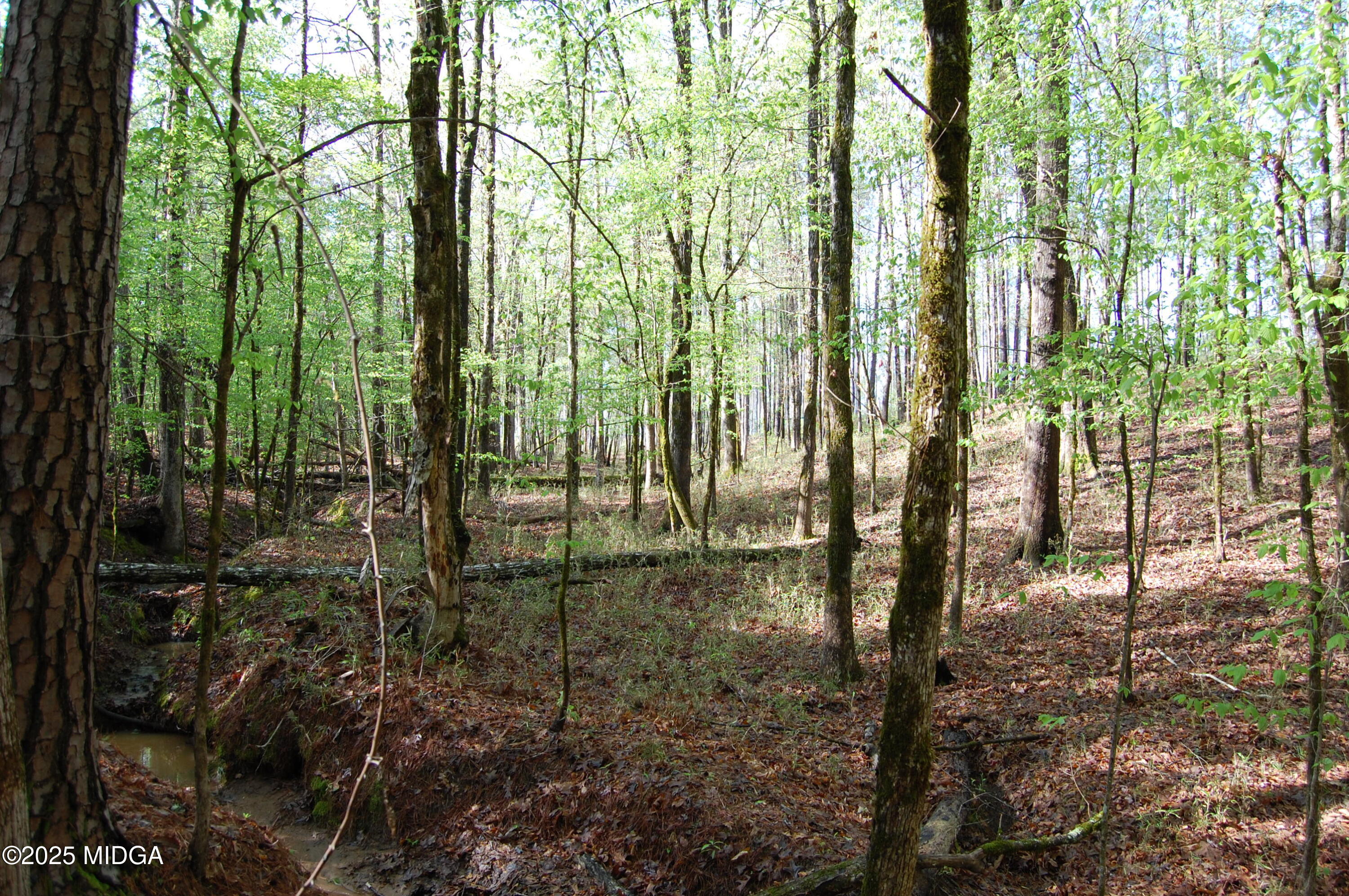 0 Watson Road Forsyth, GA 31029 - Photo 19 of 33 a view of outdoor space and green space