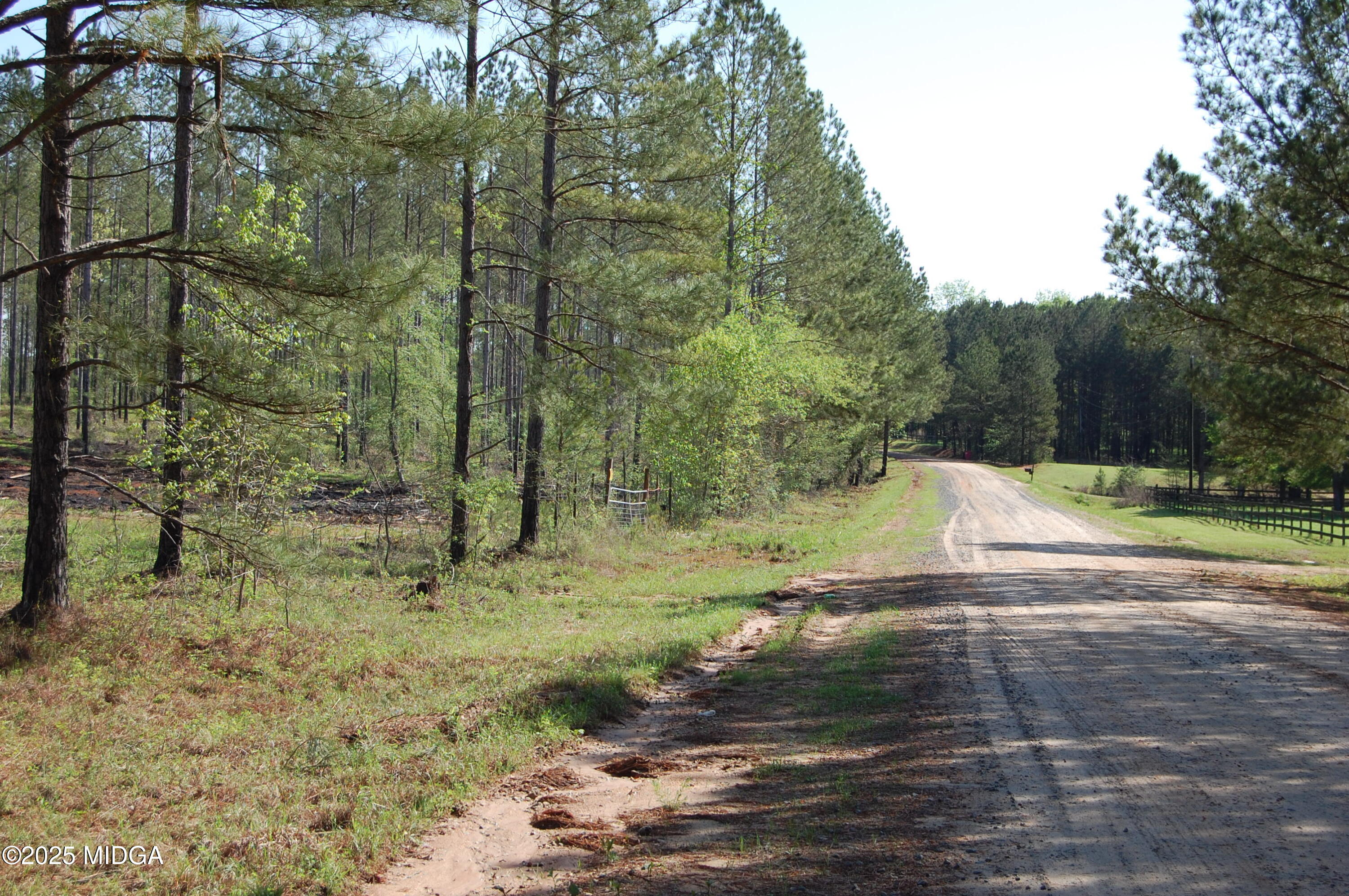 0 Watson Road Forsyth, GA 31029 - Photo 20 of 33 a view of a yard with a tree