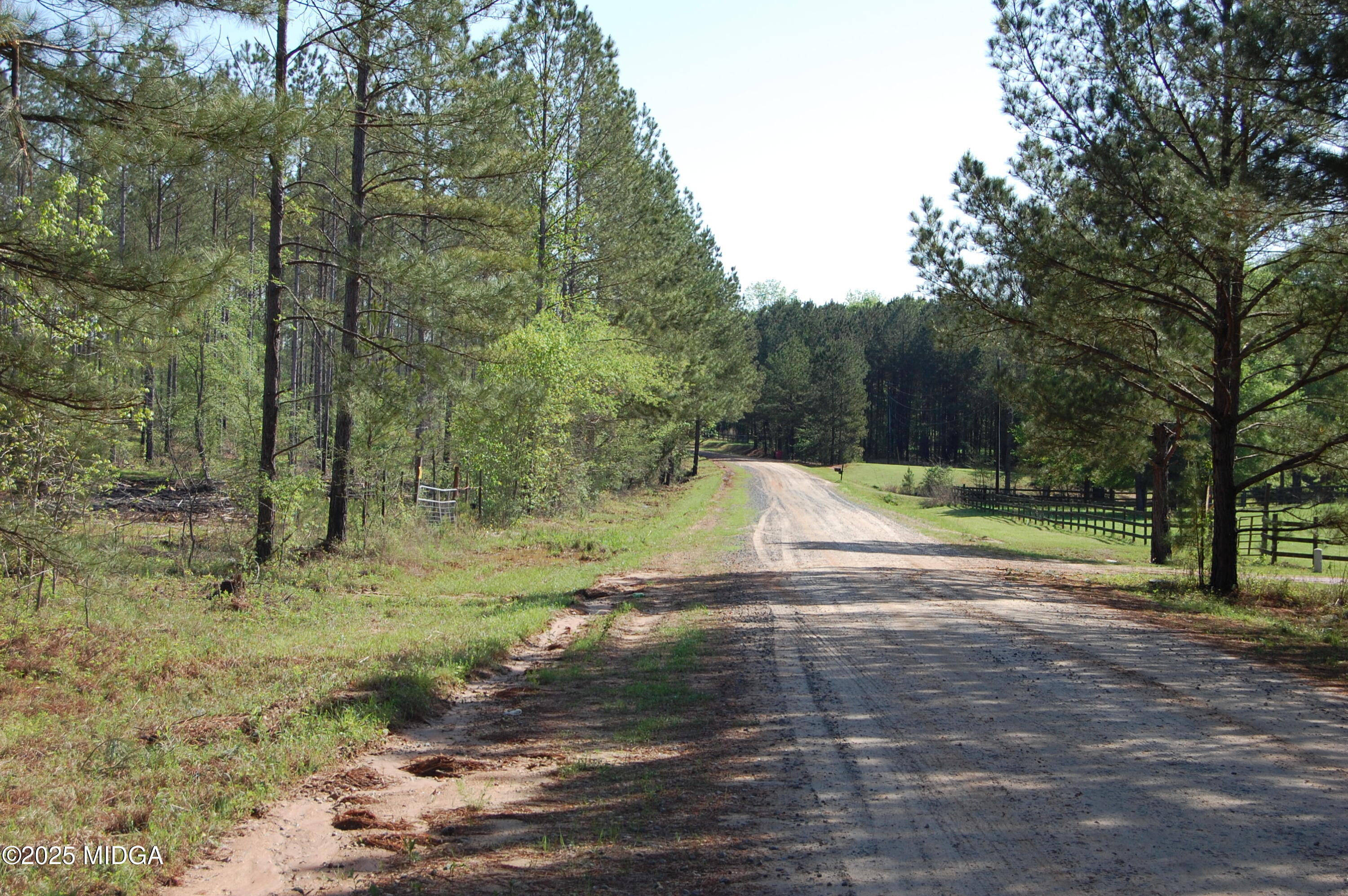 0 Watson Road Forsyth, GA 31029 - Photo 21 of 33 a view of a dry yard with trees