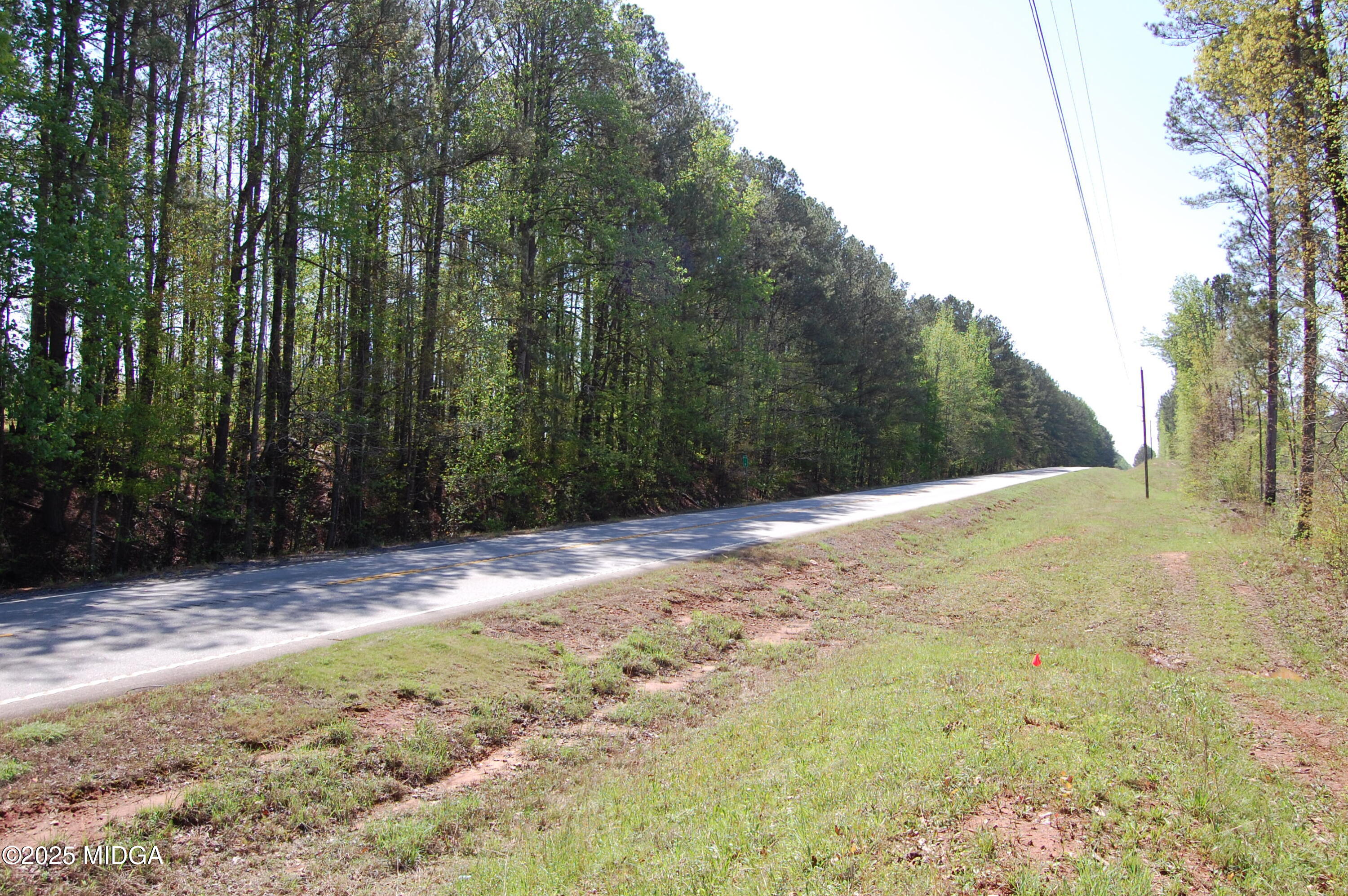 0 Watson Road Forsyth, GA 31029 - Photo 22 of 33 a view of a yard with large trees