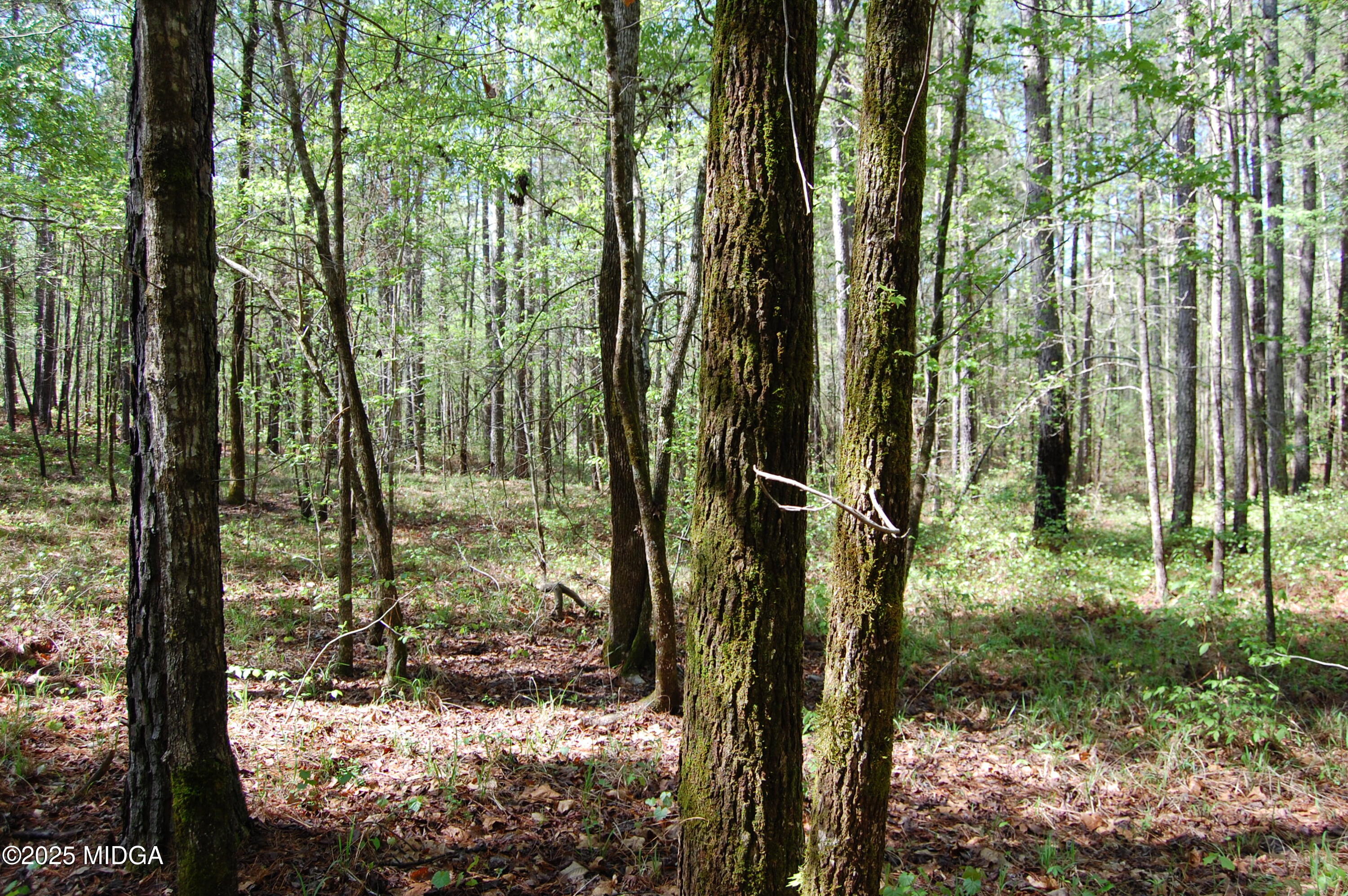 0 Watson Road Forsyth, GA 31029 - Photo 23 of 33 a view of outdoor space and garden