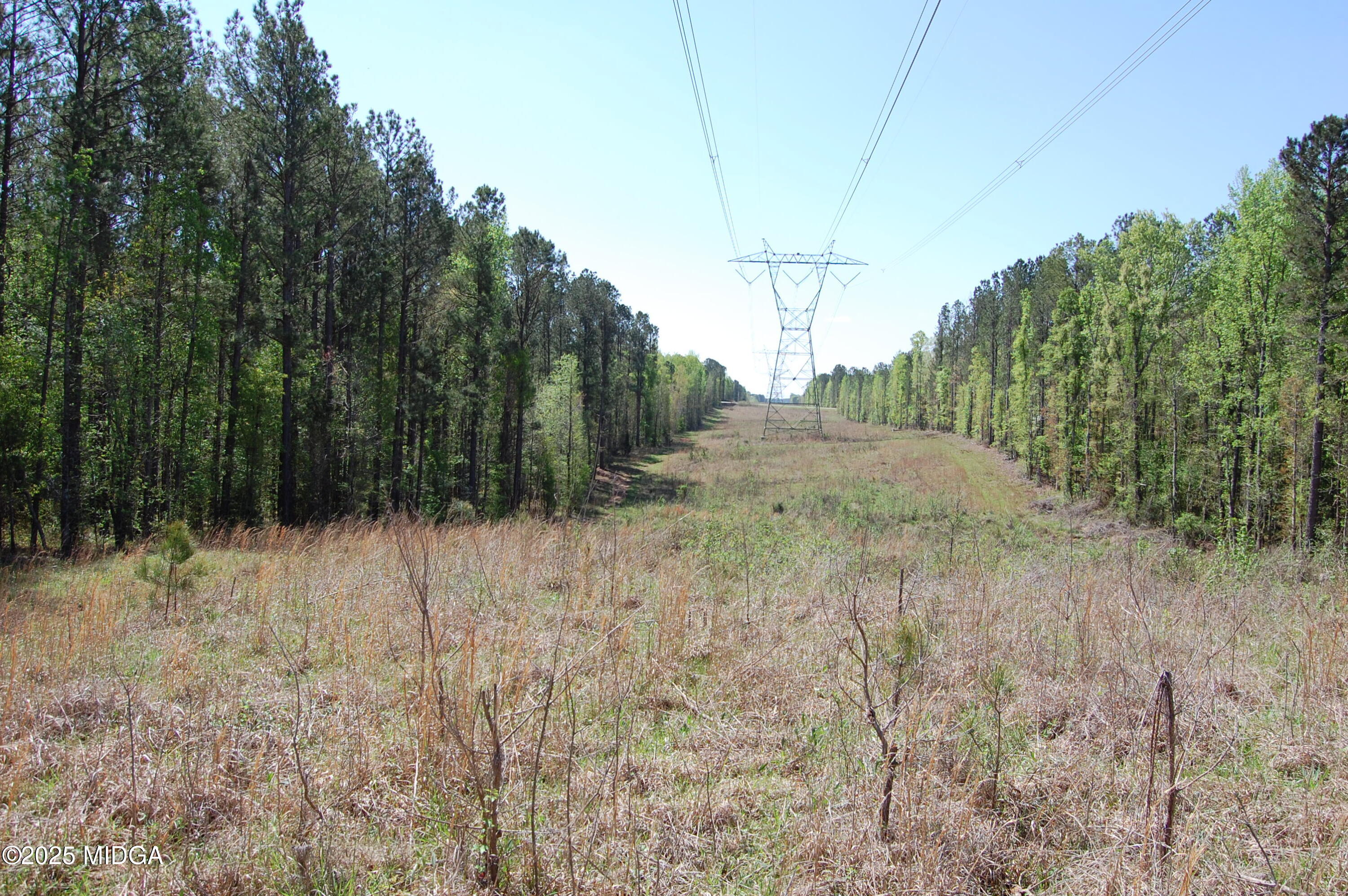 0 Watson Road Forsyth, GA 31029 - Photo 25 of 33 a view of a dry yard
