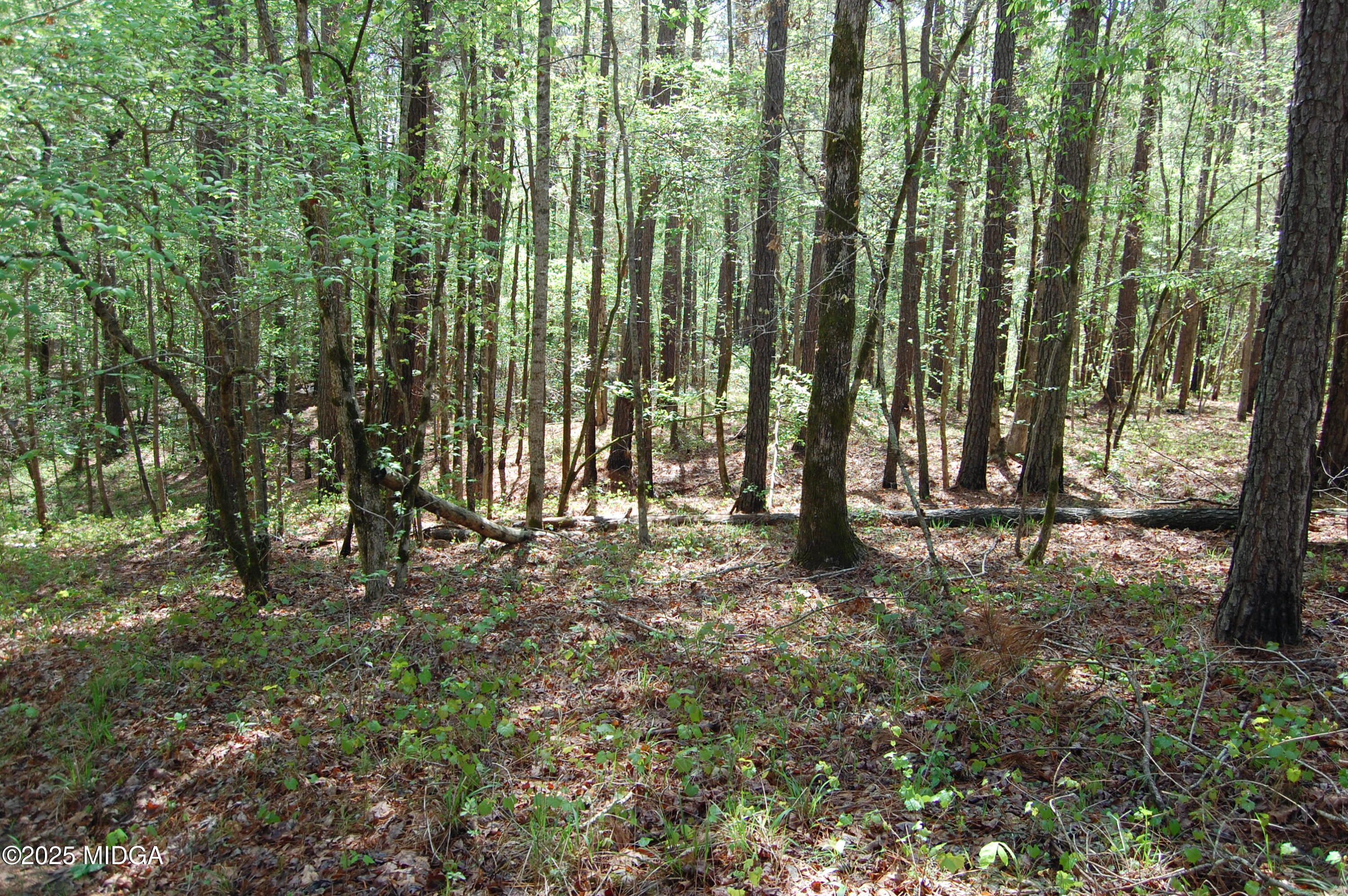 0 Watson Road Forsyth, GA 31029 - Photo 26 of 33 a big yard with lots of green space and trees