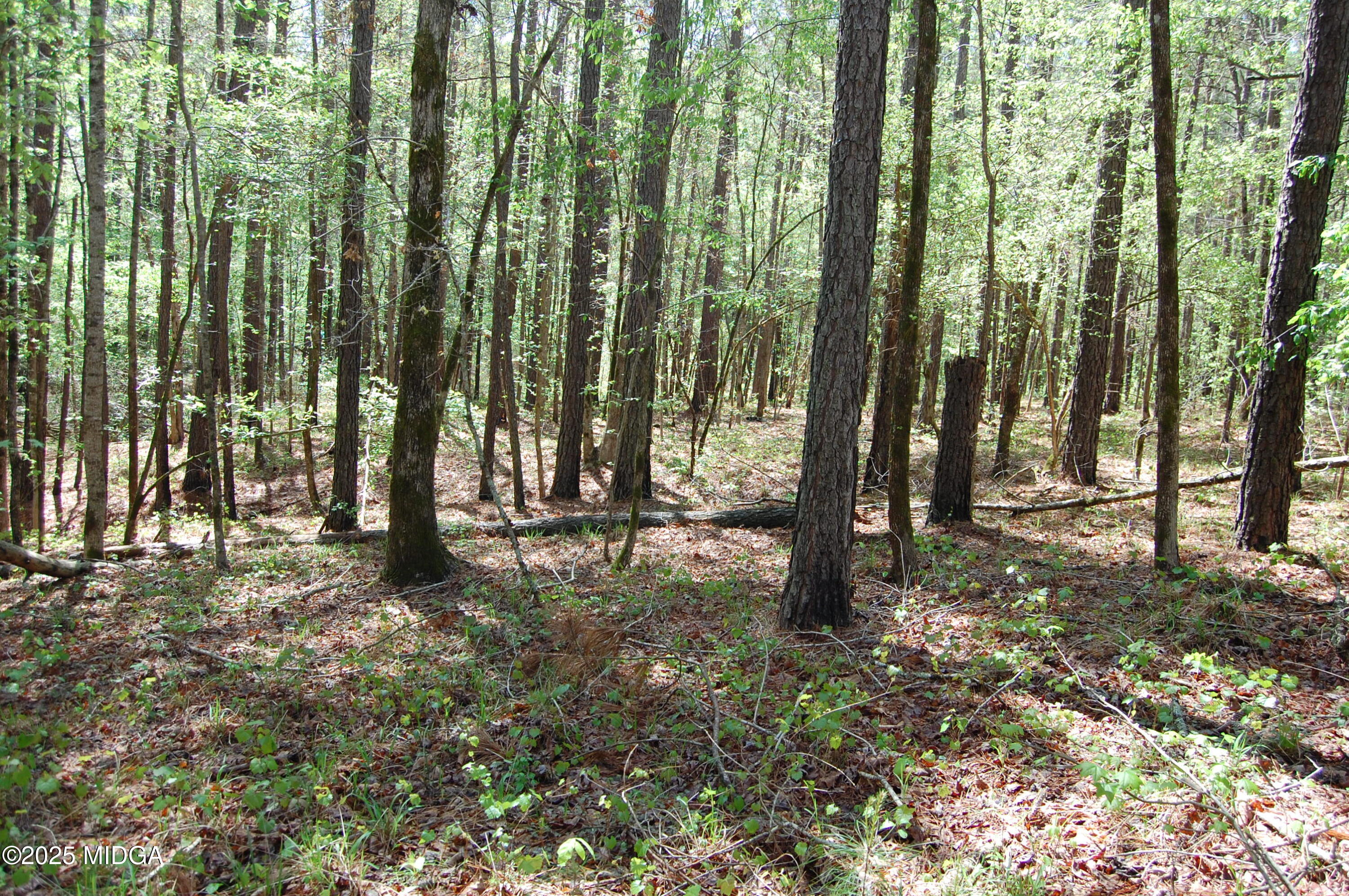 0 Watson Road Forsyth, GA 31029 - Photo 27 of 33 a view of outdoor space with lots of trees