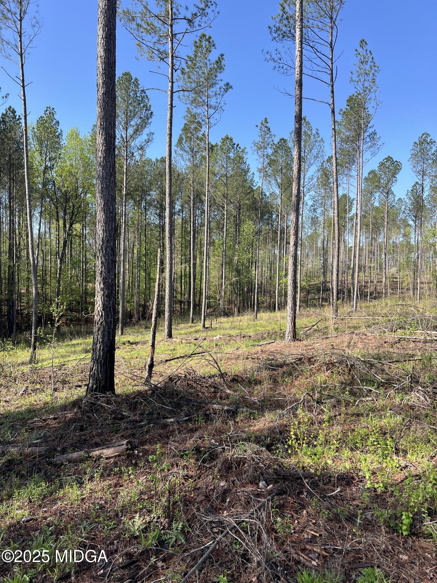 0 Watson Road Forsyth, GA 31029 - Photo 29 of 33 a view of a park