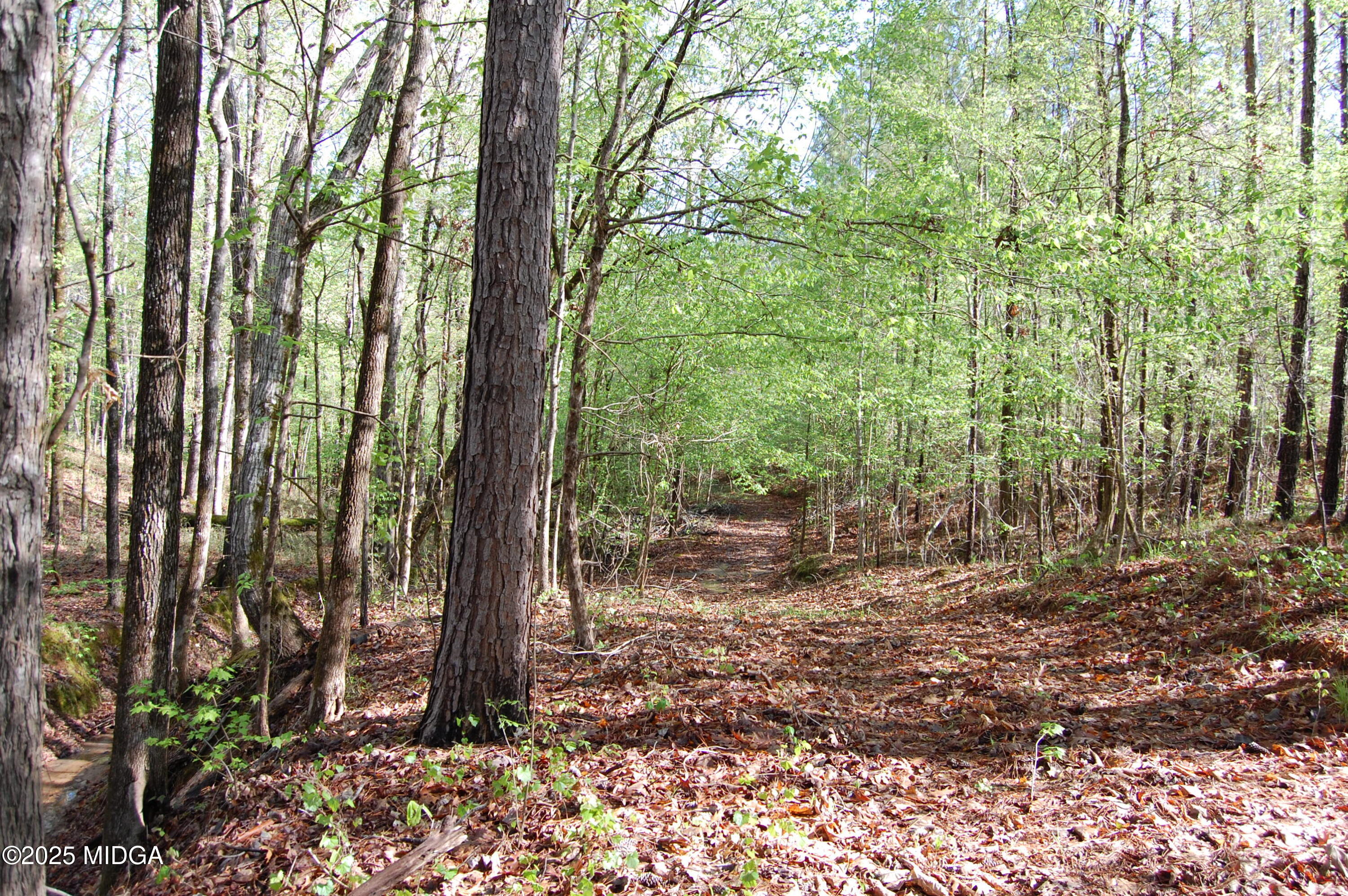 0 Watson Road Forsyth, GA 31029 - Photo 3 of 33 a view of outdoor space and garden