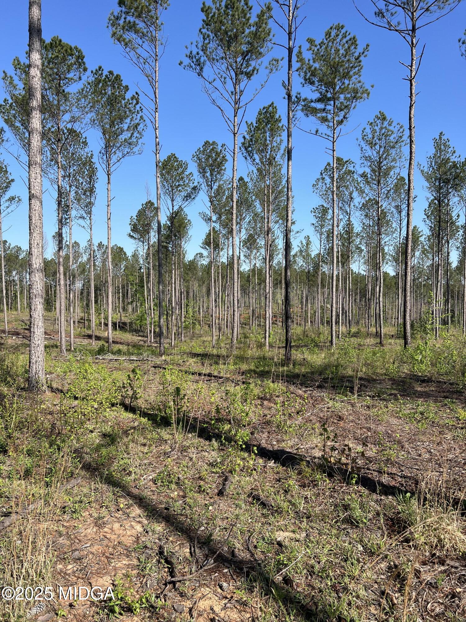 0 Watson Road Forsyth, GA 31029 - Photo 32 of 33 a view of backyard