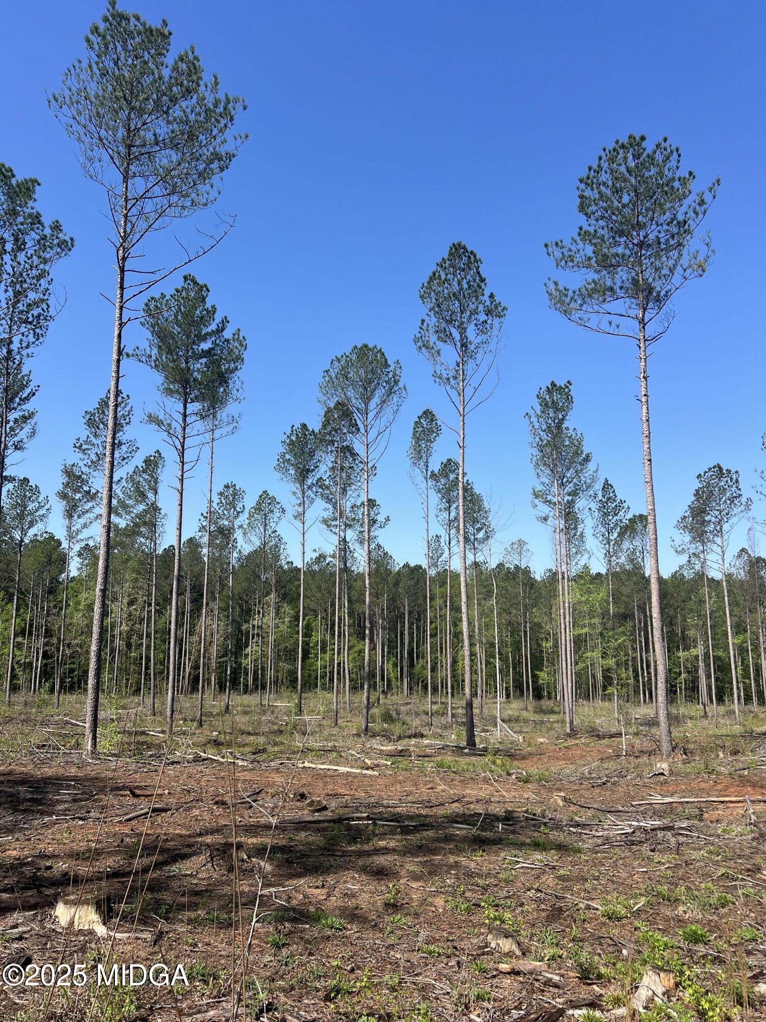 0 Watson Road Forsyth, GA 31029 - Photo 33 of 33 a view of a yard and entertaining space