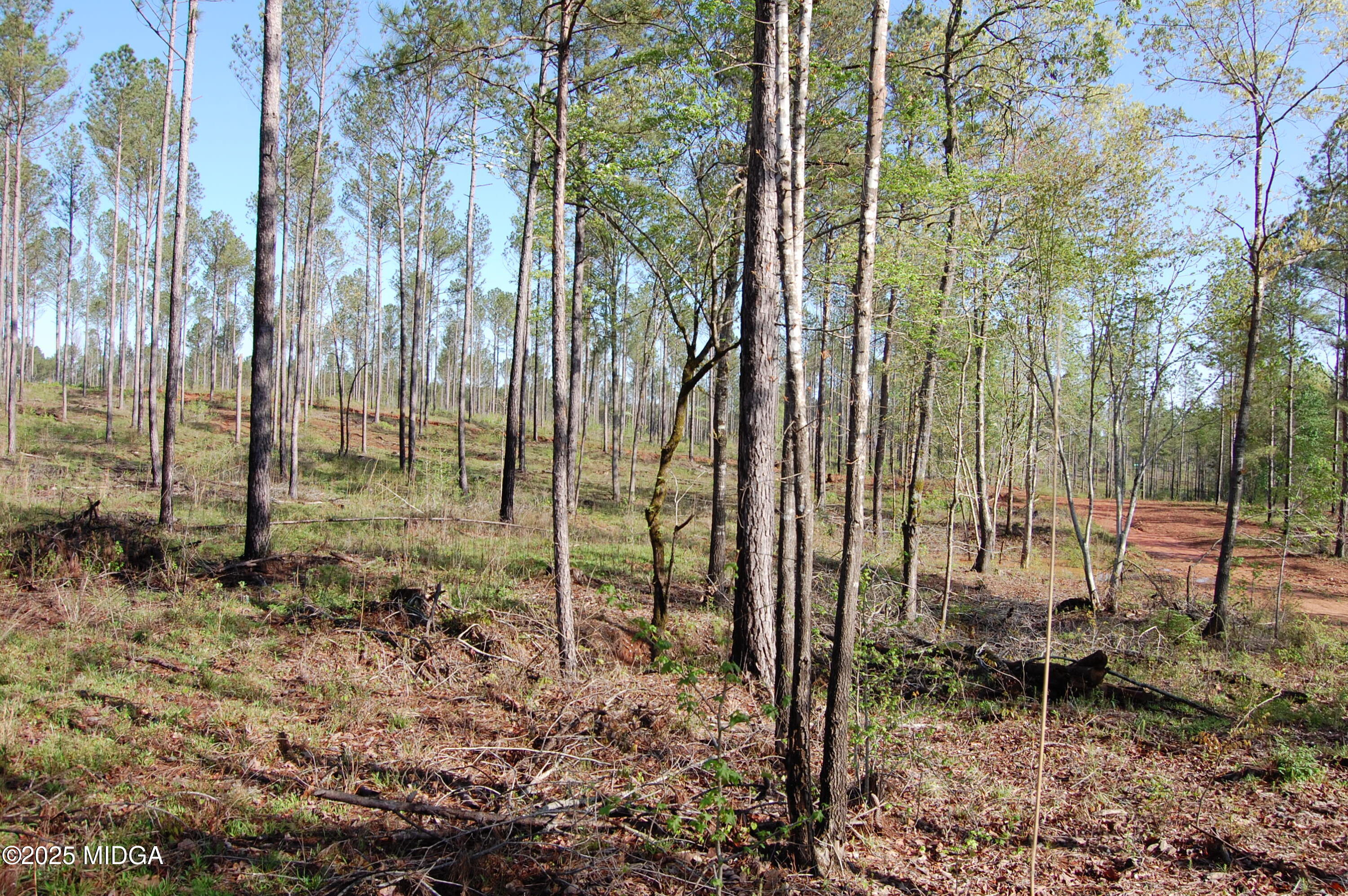 0 Watson Road Forsyth, GA 31029 - Photo 8 of 33 a view of outdoor space with garden
