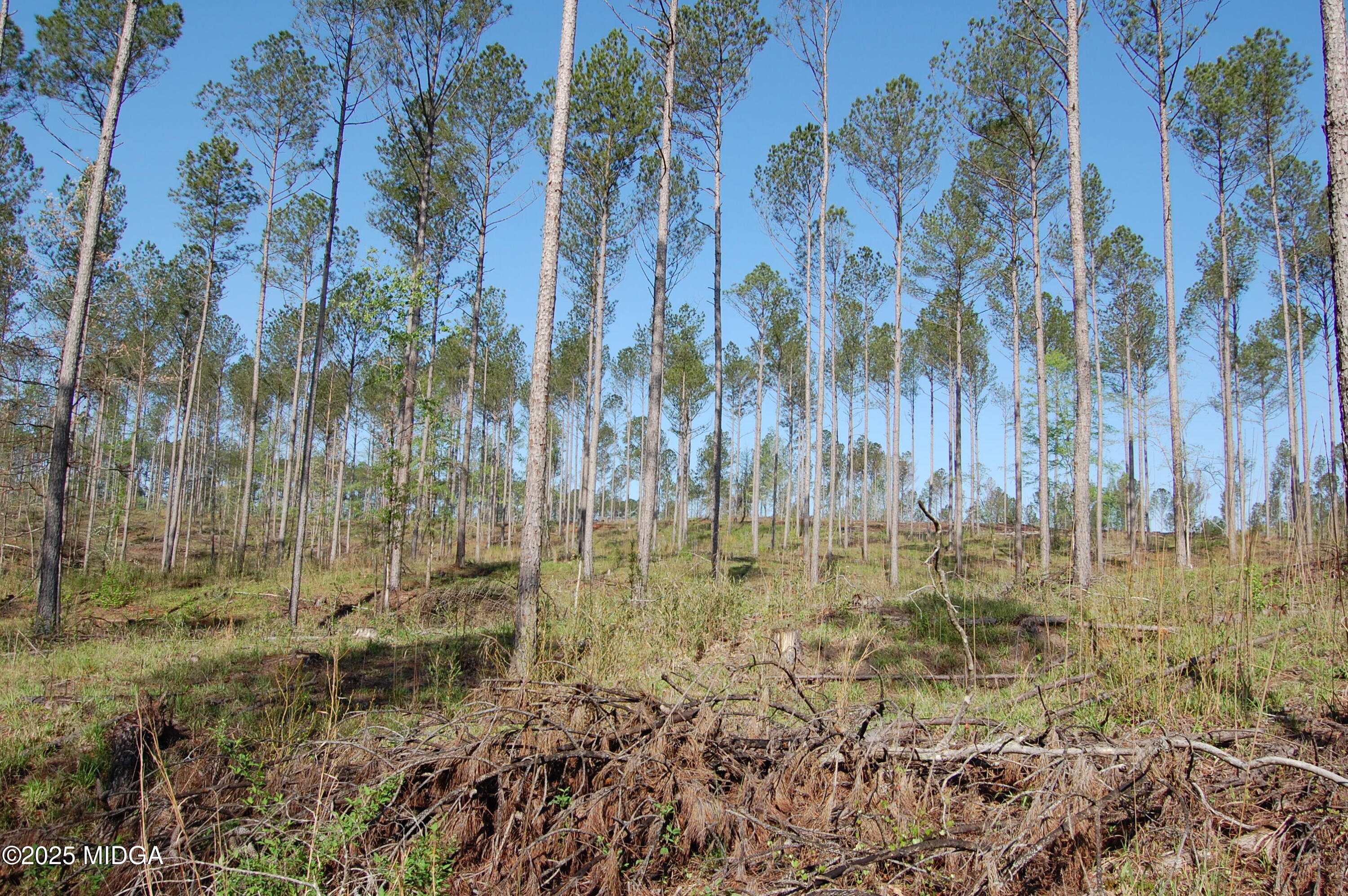 0 Watson Road Forsyth, GA 31029 - Photo 9 of 33 a view of residential area with trees