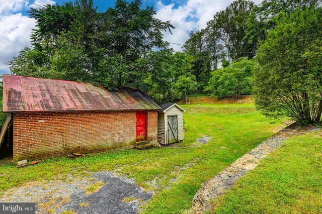 a view of a backyard with potted plants and large trees