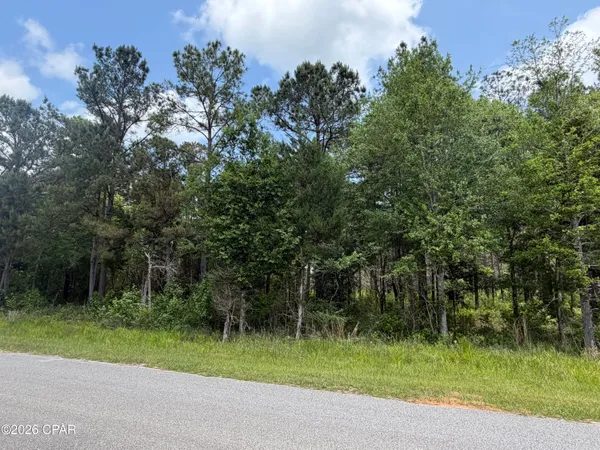 $75,000 | 0 Parrish Still Road, Vernon, FL 32462
