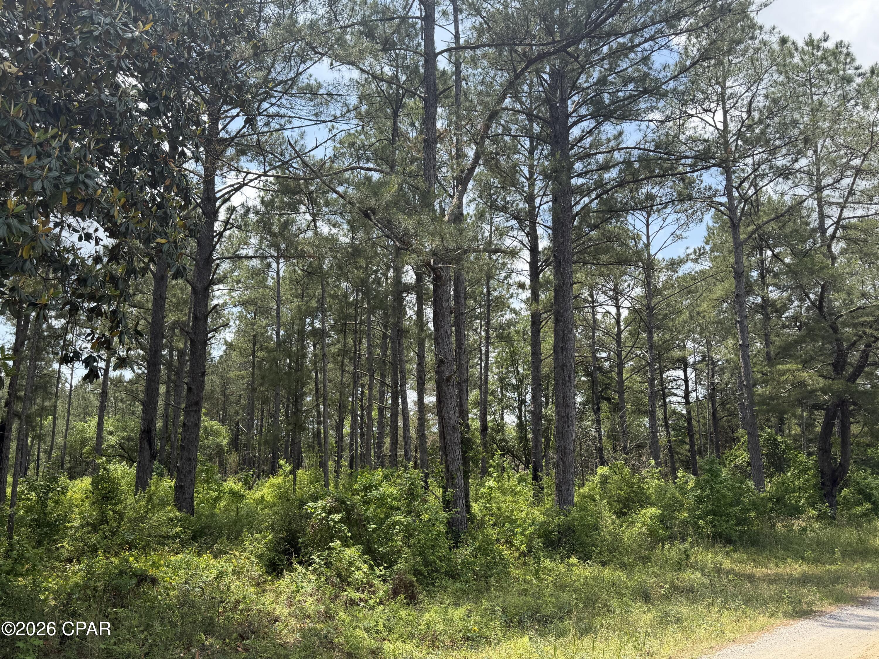0 Parrish Still Road Vernon, FL 32462 - Photo 2 of 3