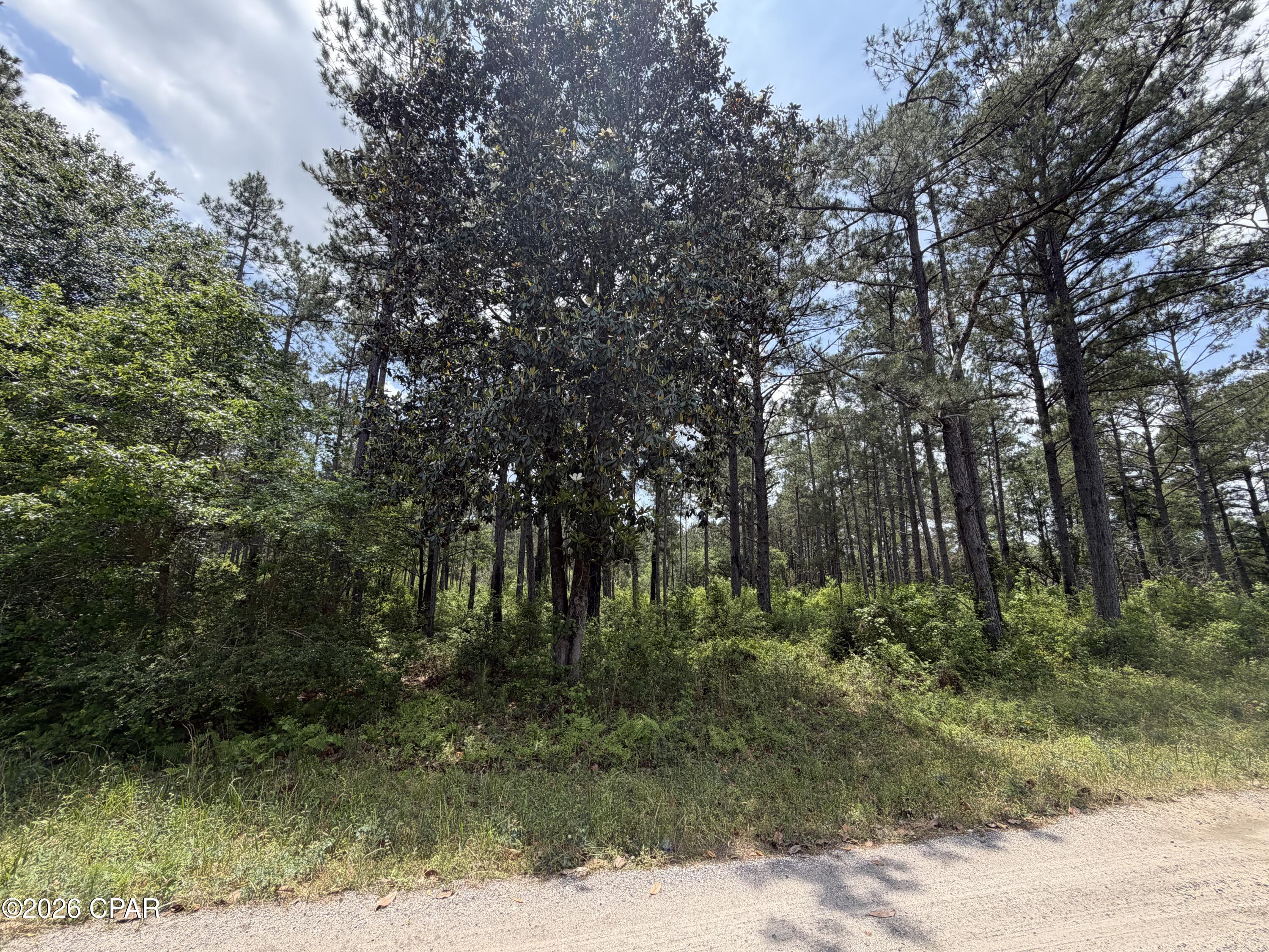 0 Parrish Still Road Vernon, FL 32462 - Photo 3 of 3