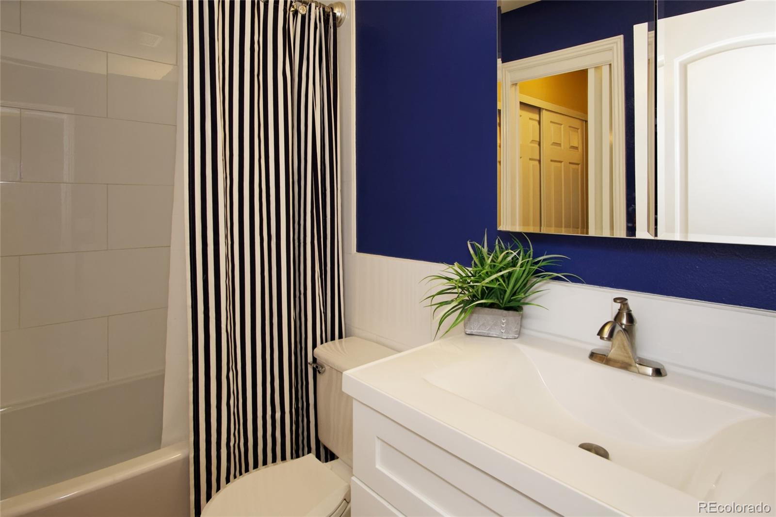 593 Longfellow Lane Highlands Ranch, CO 80126 - Photo 11 of 28 Gallery Image 11
