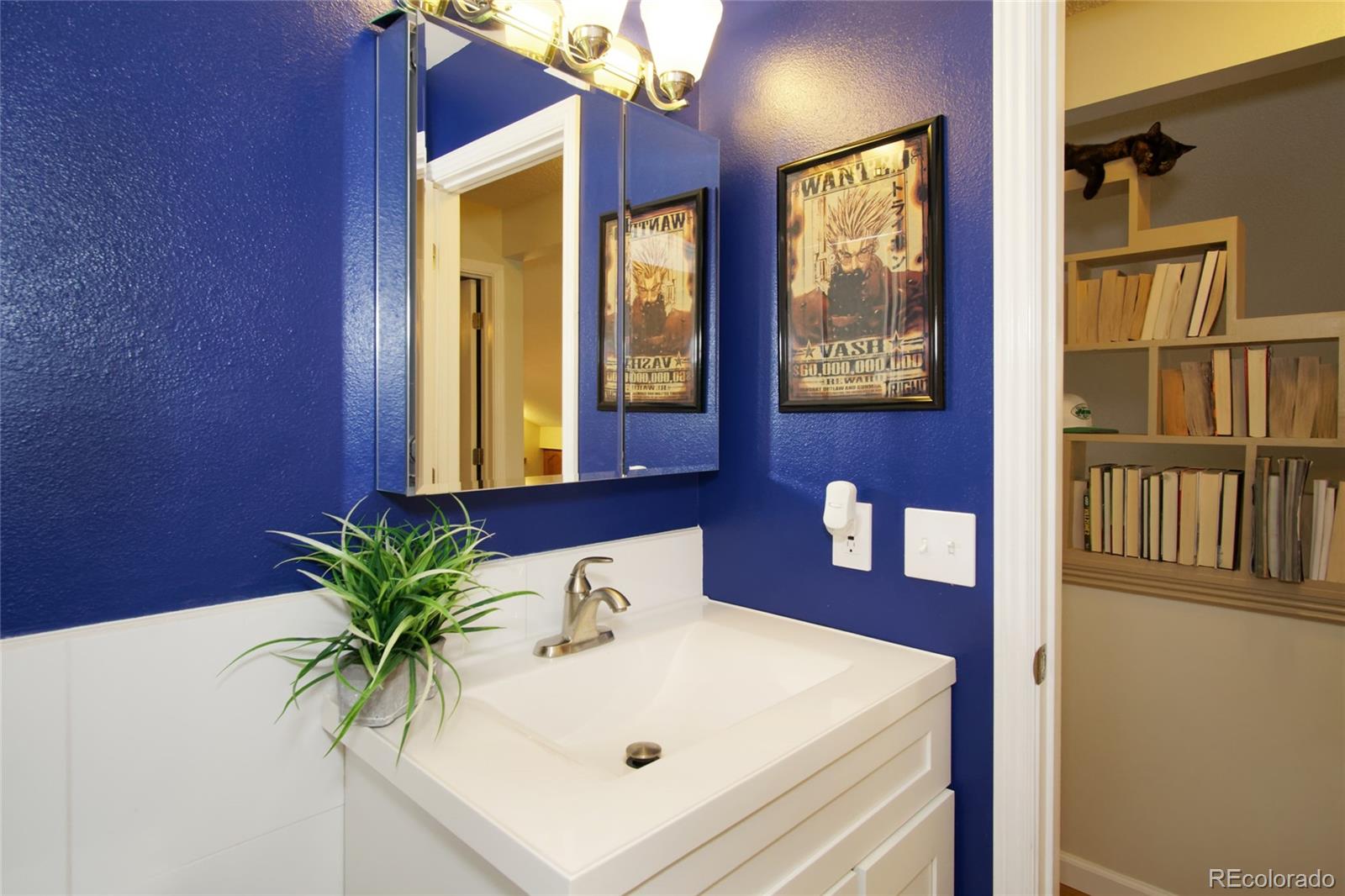 593 Longfellow Lane Highlands Ranch, CO 80126 - Photo 12 of 28 Gallery Image 12