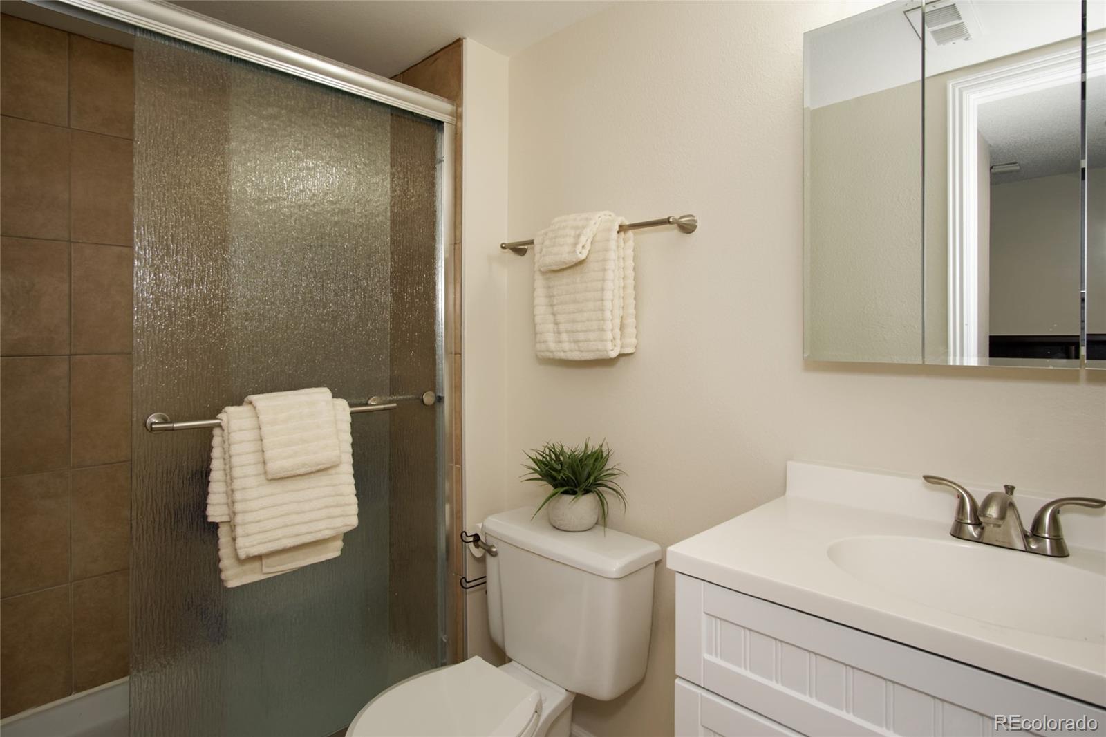 593 Longfellow Lane Highlands Ranch, CO 80126 - Photo 17 of 28 Gallery Image 17