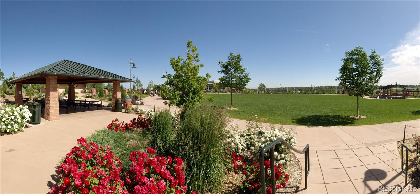 593 Longfellow Lane Highlands Ranch, CO 80126 - Photo 25 of 28 Gallery Image 25