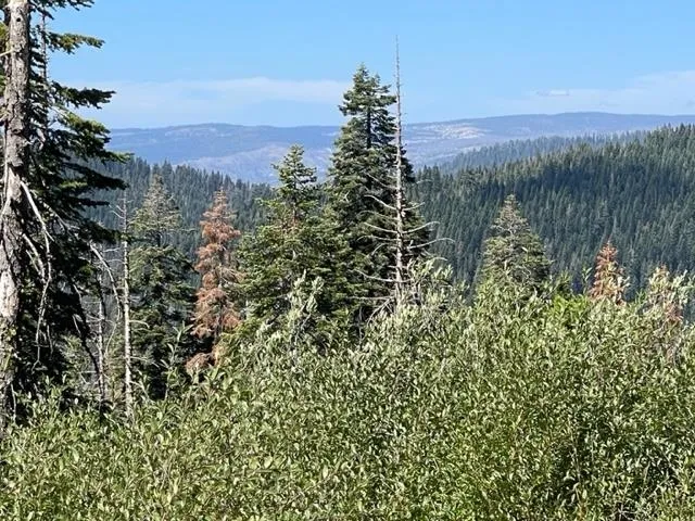 $912,000 | 0 Bucks Lake Road, Quincy, CA 95971