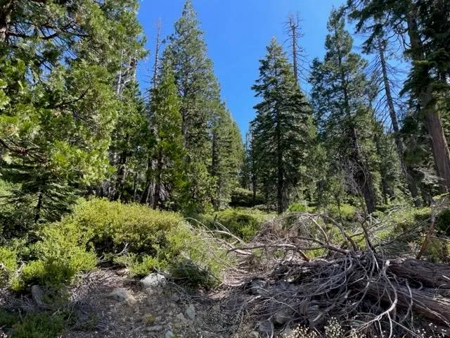 $912,000 | 0 Bucks Lake Road, Quincy, CA 95971