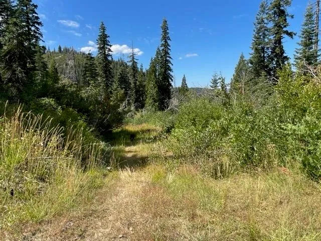 $912,000 | 0 Bucks Lake Road, Quincy, CA 95971