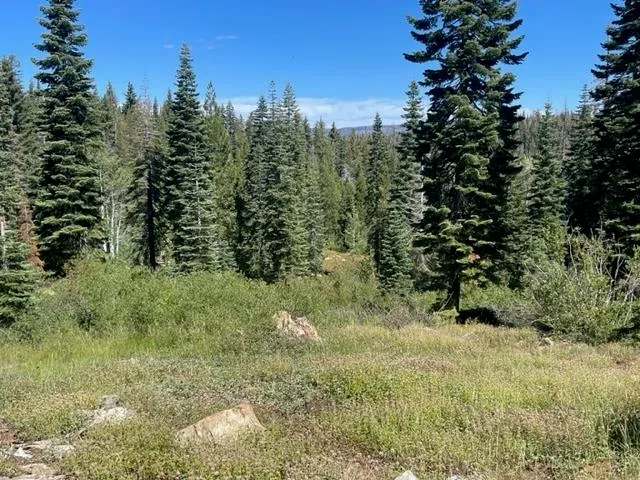 $912,000 | 0 Bucks Lake Road, Quincy, CA 95971