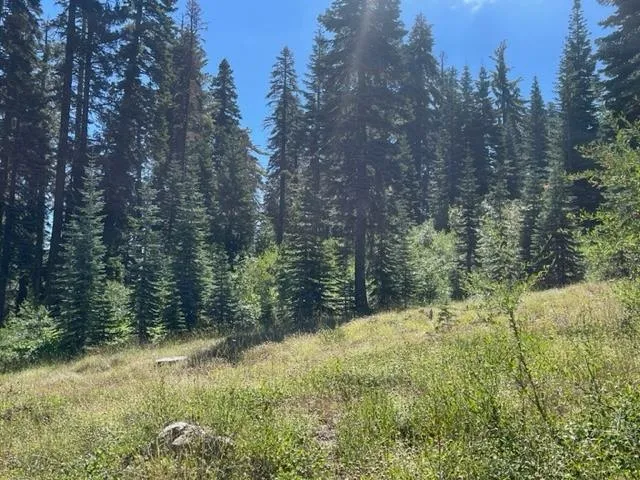 $912,000 | 0 Bucks Lake Road, Quincy, CA 95971