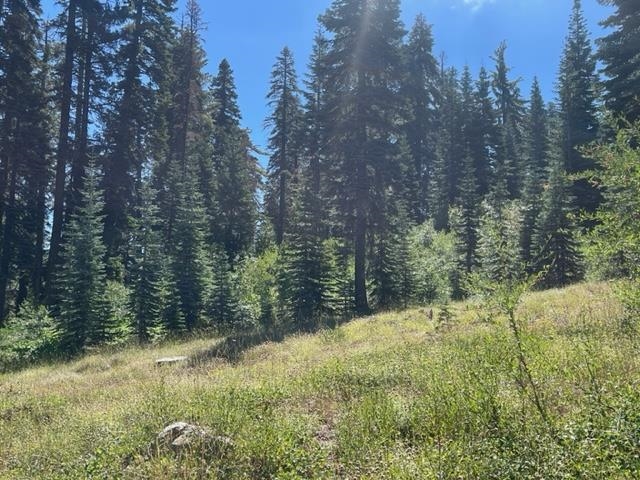 0 Bucks Lake Road Quincy, CA 95971 - Photo 4 of 19