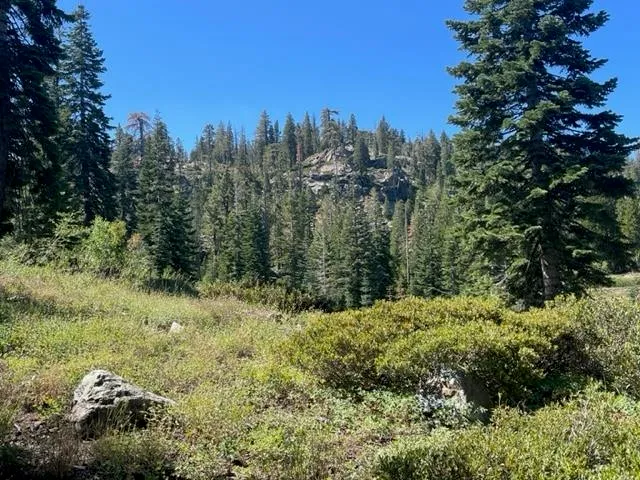 $912,000 | 0 Bucks Lake Road, Quincy, CA 95971