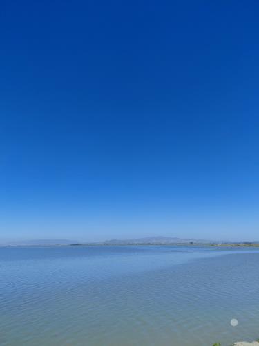 528 Wetlands Edge Road American Canyon, CA 94503 - Photo 45 of 55