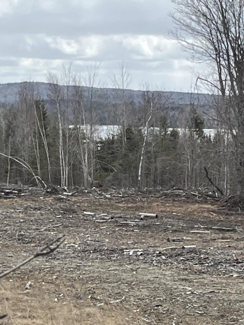 33 Rt 6 Highway Carroll Plt, ME 04487 - Photo 4 of 10
