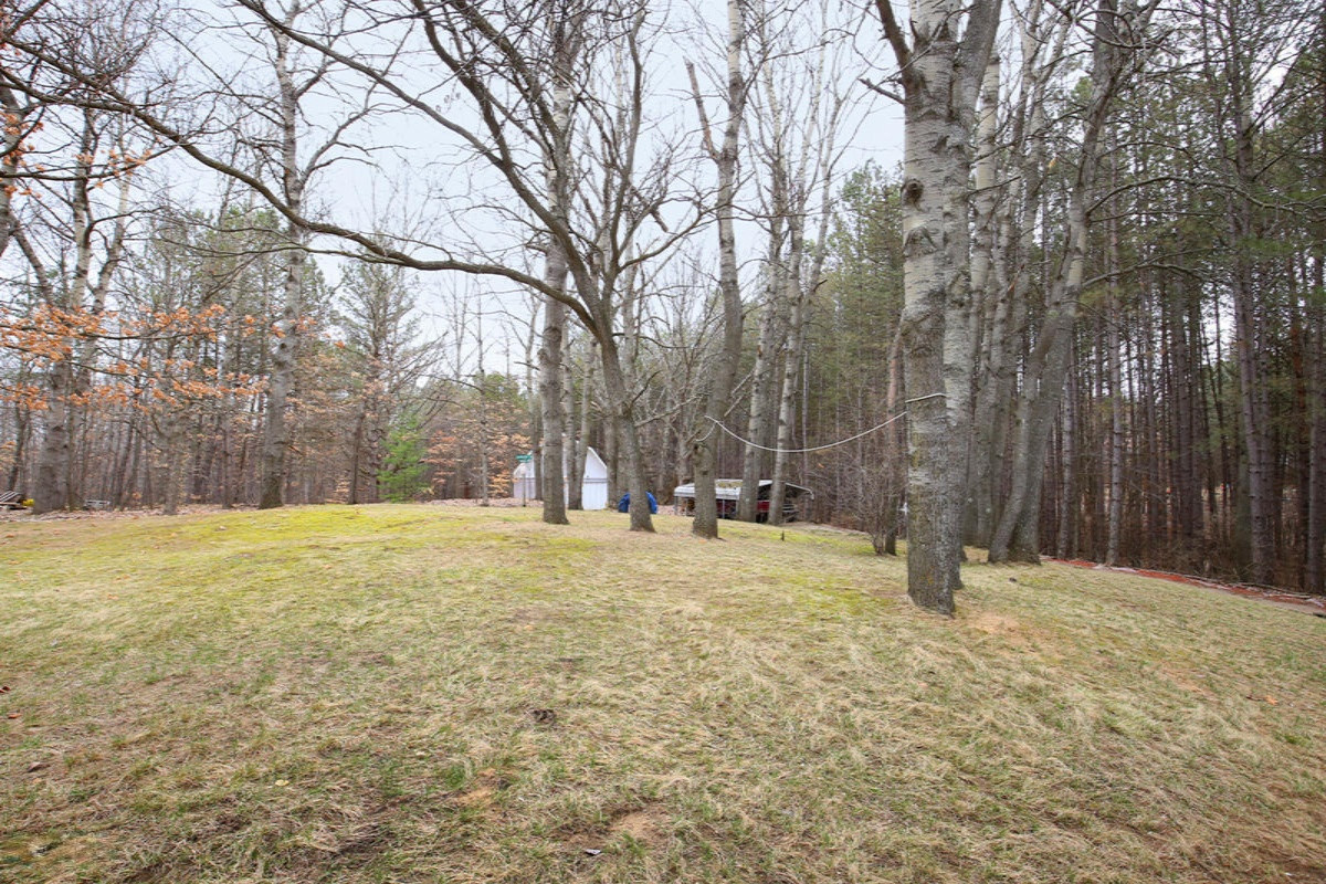 19850 Kimball Road Pierson, MI 49339 - Photo 18 of 27 IMG_3572