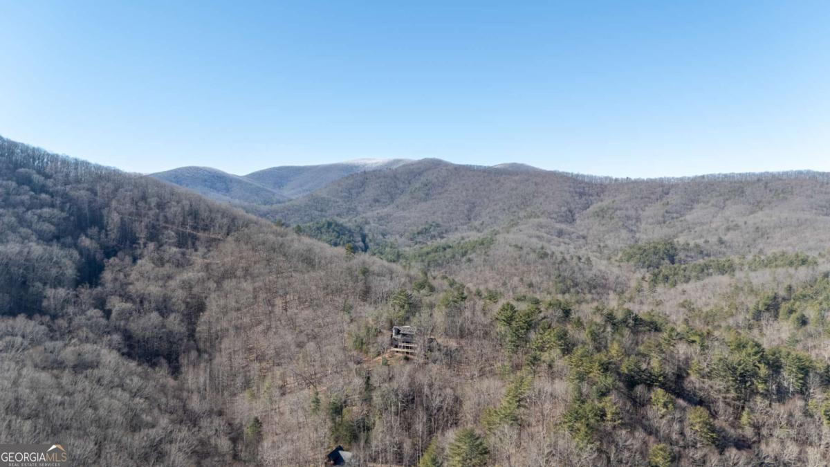 244 Tipton Court Cherry Log, GA 30522 - Photo 33 of 84