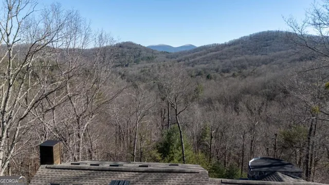 a bathroom with a shower and a toilet