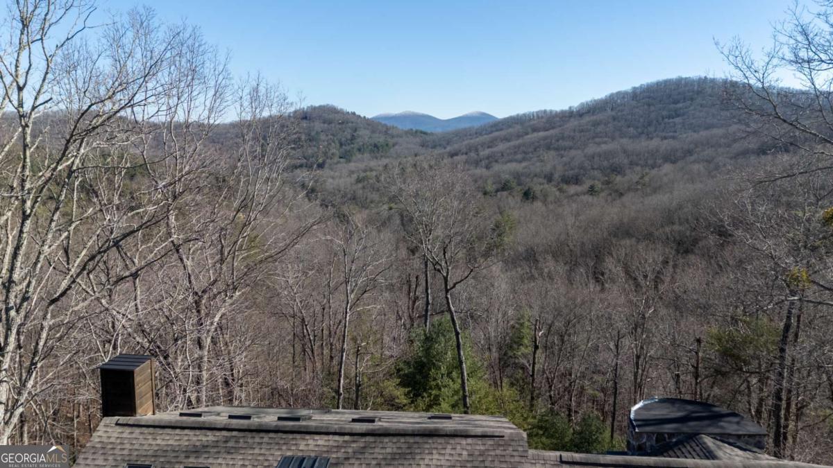 244 Tipton Court Cherry Log, GA 30522 - Photo 37 of 84